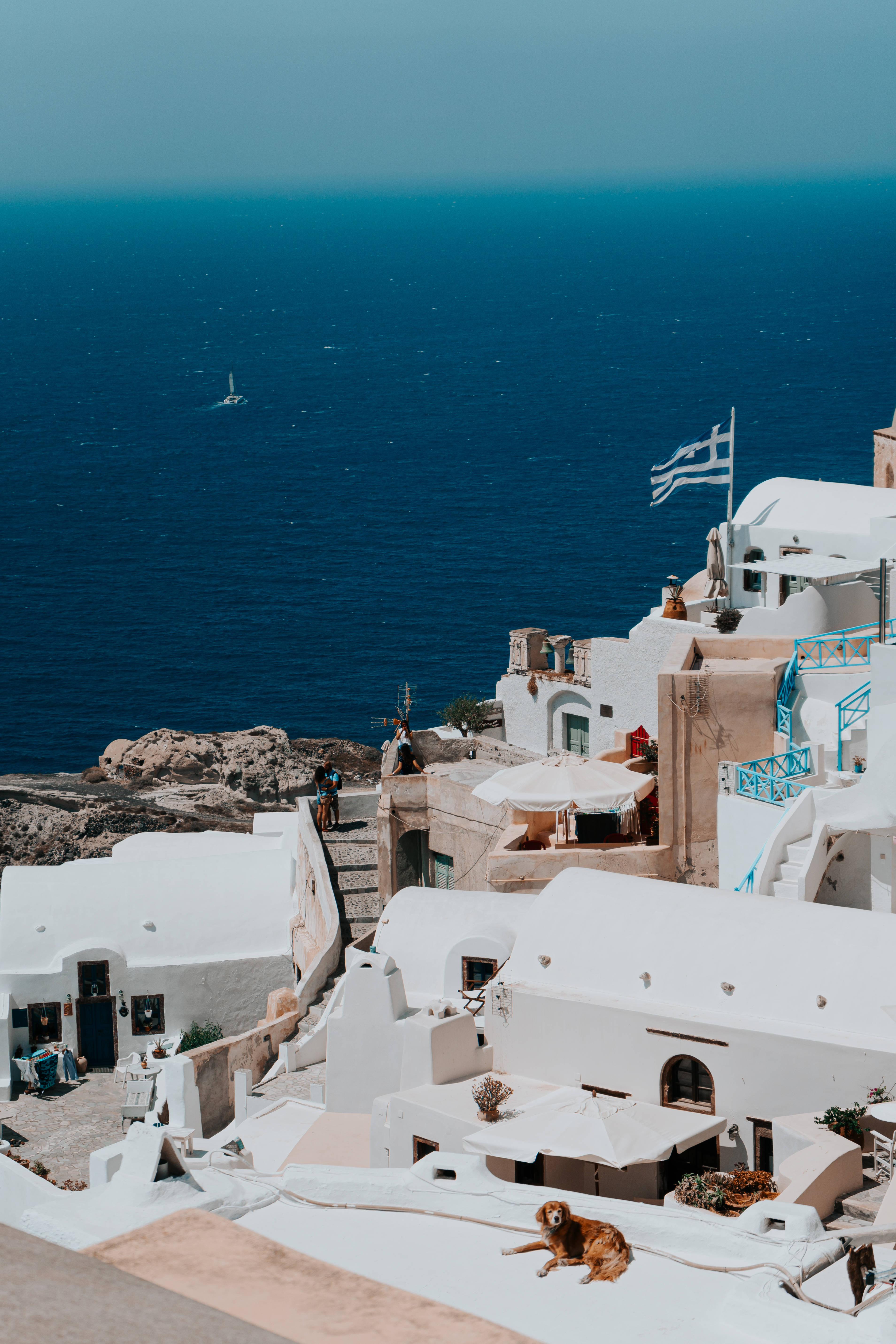 greek 桌布 壁紙 — 白色粉刷的希臘懸崖村莊，藍色海洋和一隻在屋頂露台休息的狗。