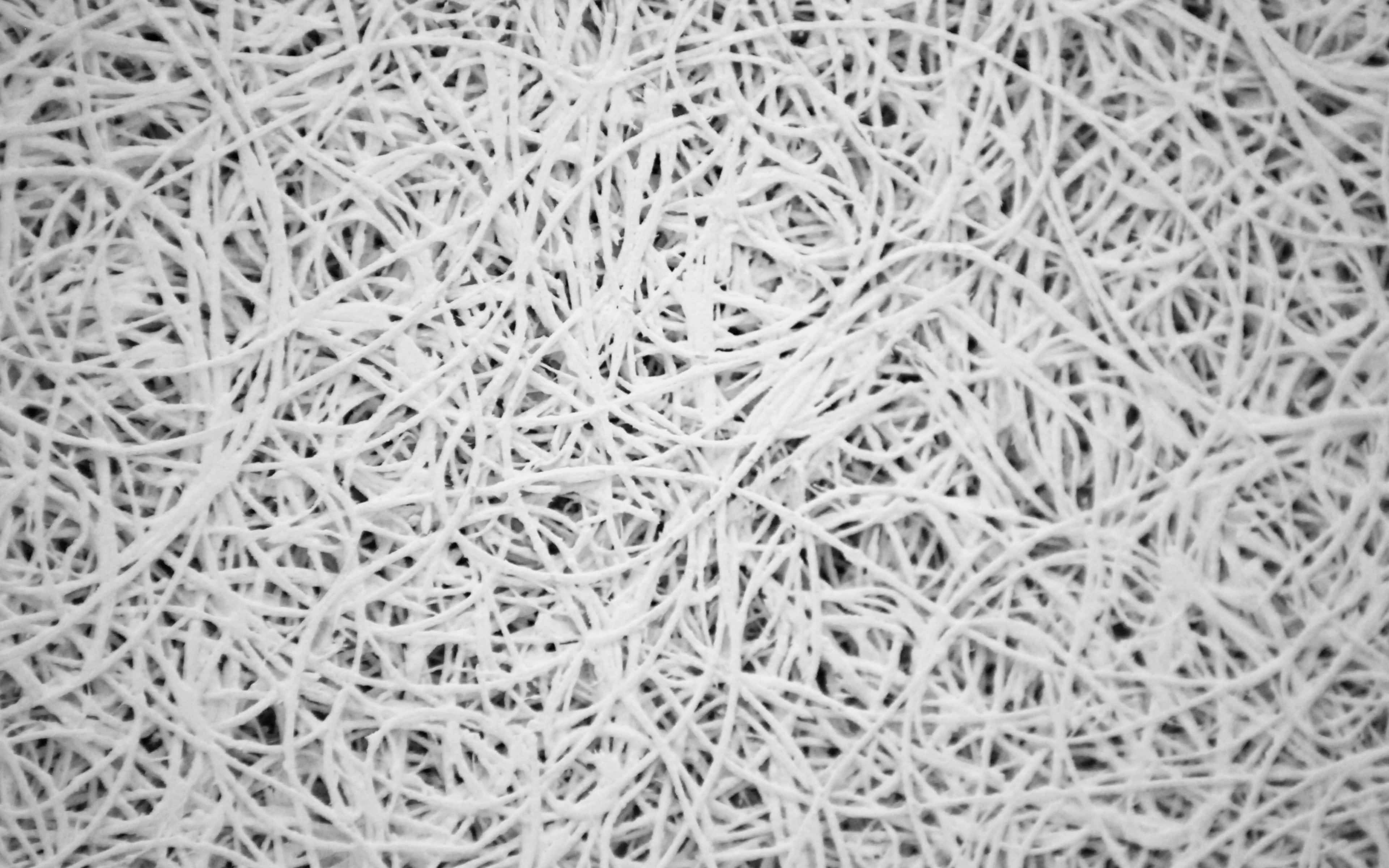 String 桌布 壁紙 — 白色紗線纖維密集纏結，形成混亂但富有質感的單色圖案。
