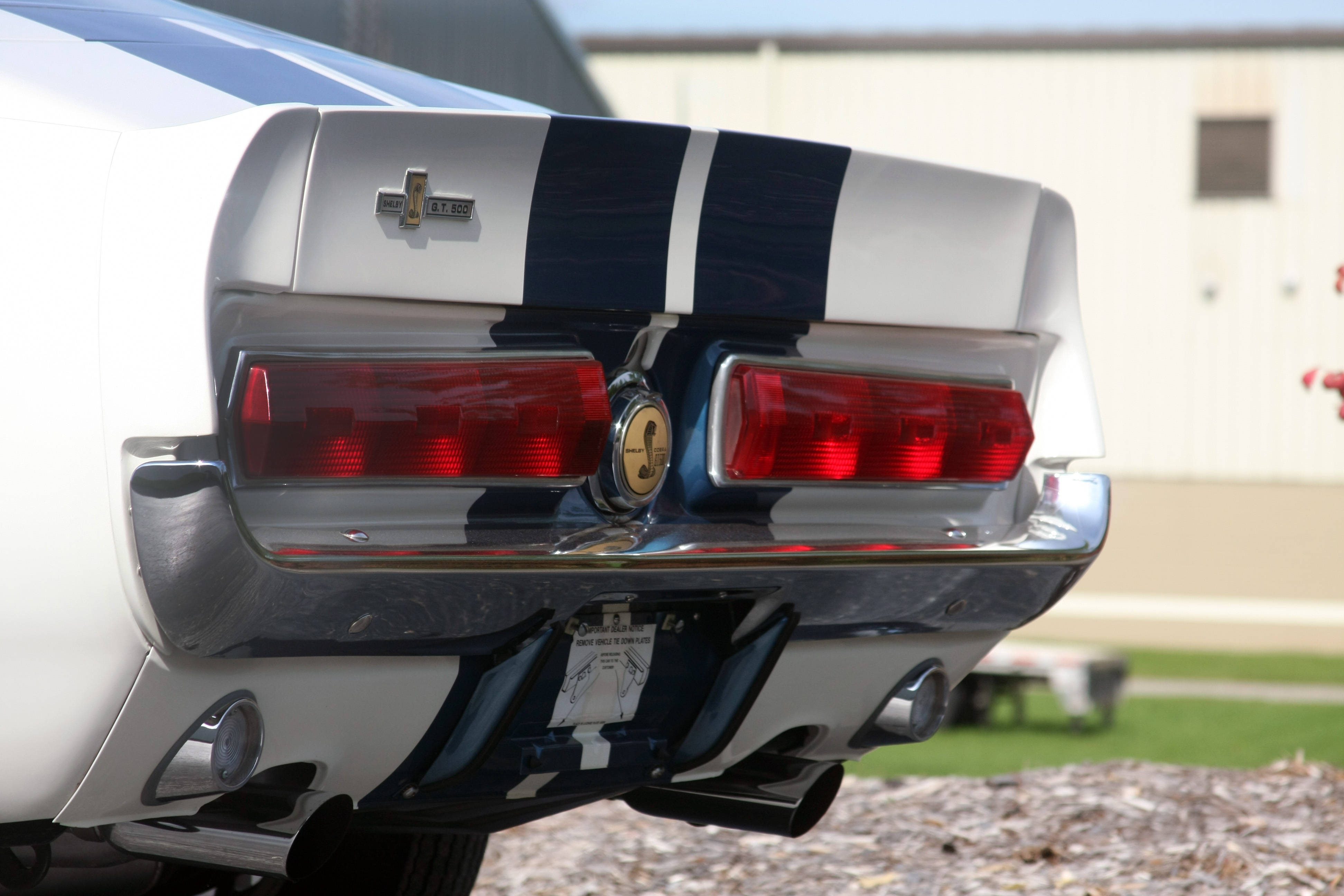 shelby iPhone 桌布 壁紙 — 白色經典肌肉車尾部特寫，帶有藍色賽車條紋和鍍鉻裝飾。