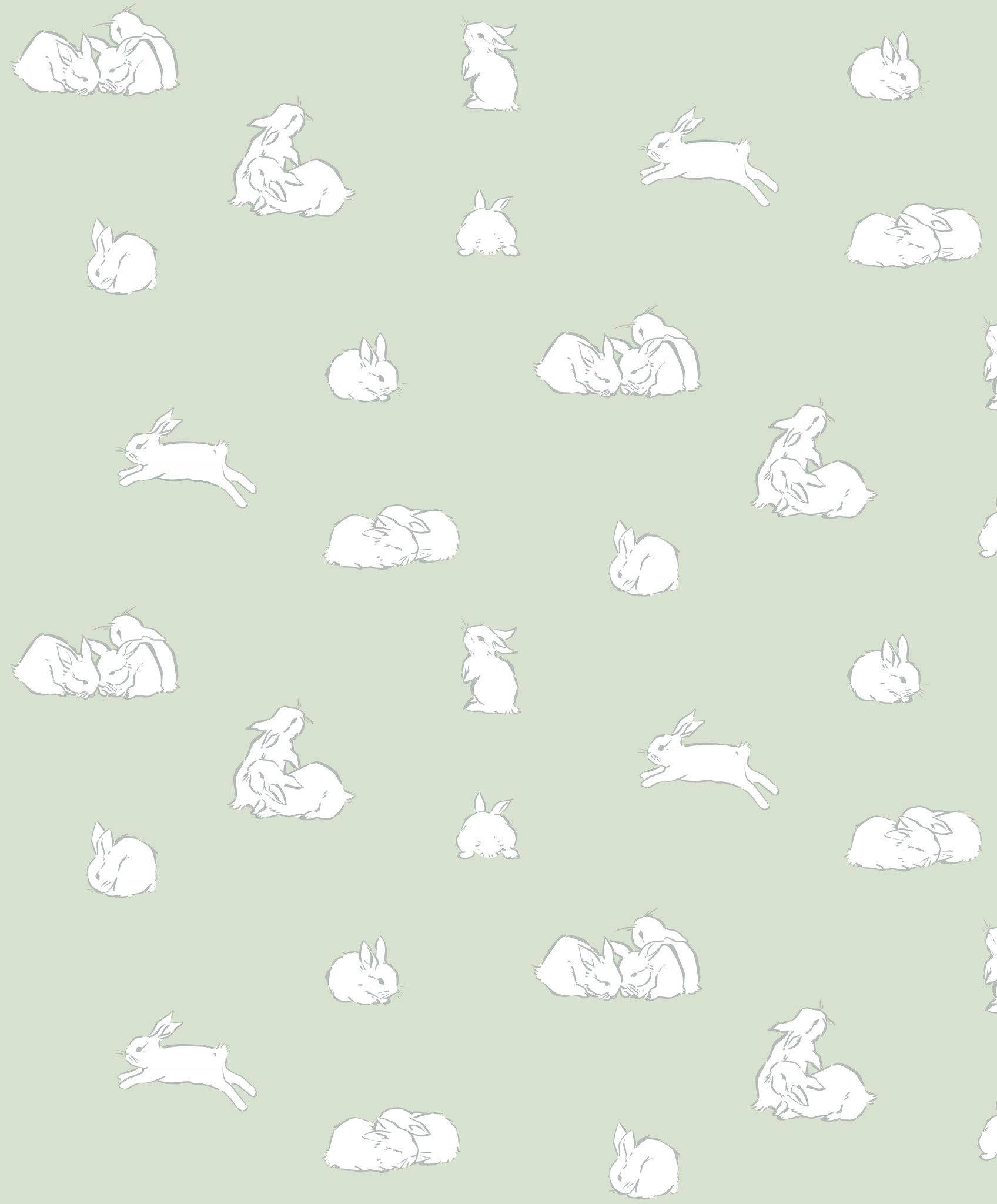 Easter Bunny 桌布 壁紙 — 白色線條繪製的兔子以各種姿勢散落在柔和的鼠尾草綠色背景上。