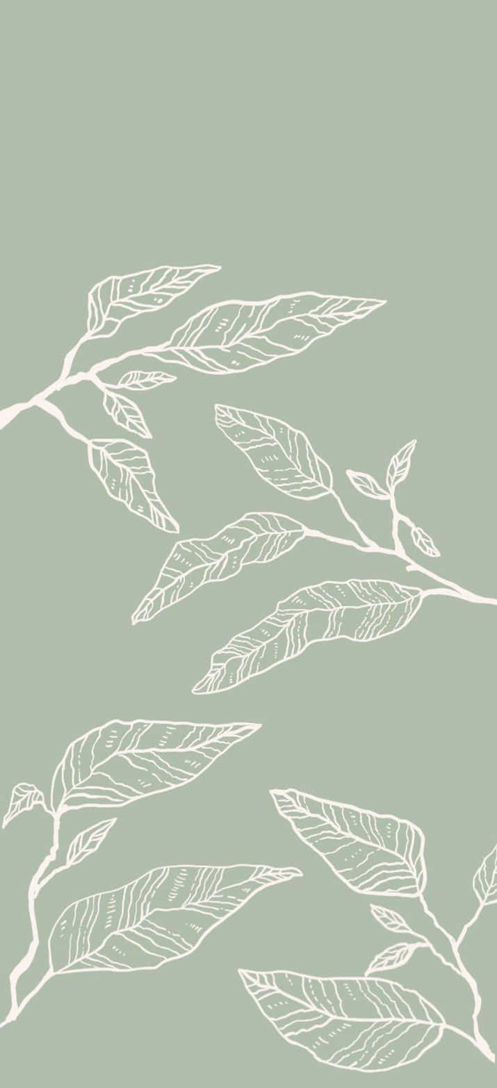 Sage 桌布 壁紙 — 白色線條繪製的樹葉和樹枝在柔和的鼠尾草綠色背景上優雅地飄浮。