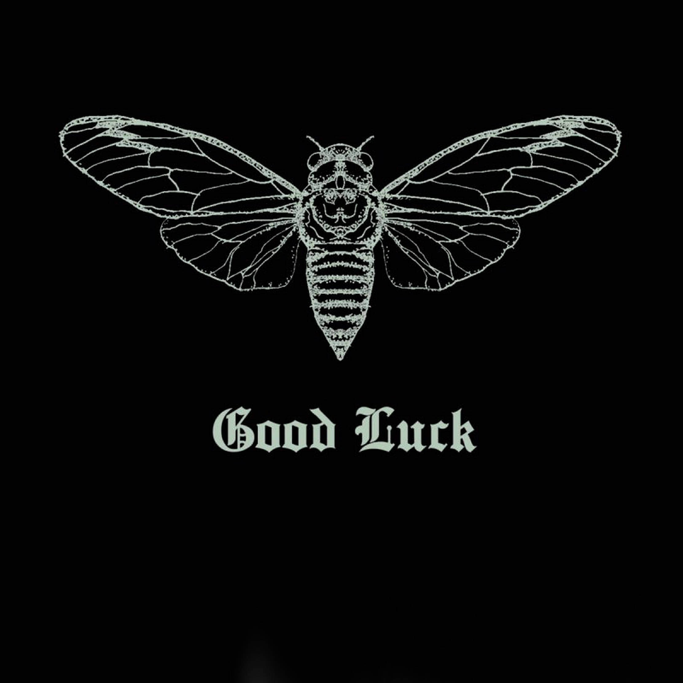 Cicada 桌布 壁紙 — 白色線條藝術蟬，帶有骷髏狀臉部和詳細翅膀，居中在黑色背景上，下方有「Good Luck」文字。