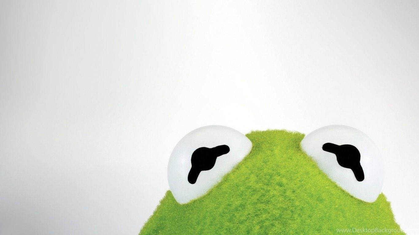 kermit 桌布 壁紙 — 白色背景上，一隻明亮綠色絨毛表面後方窺視的科米蛙大白色眼睛特寫。