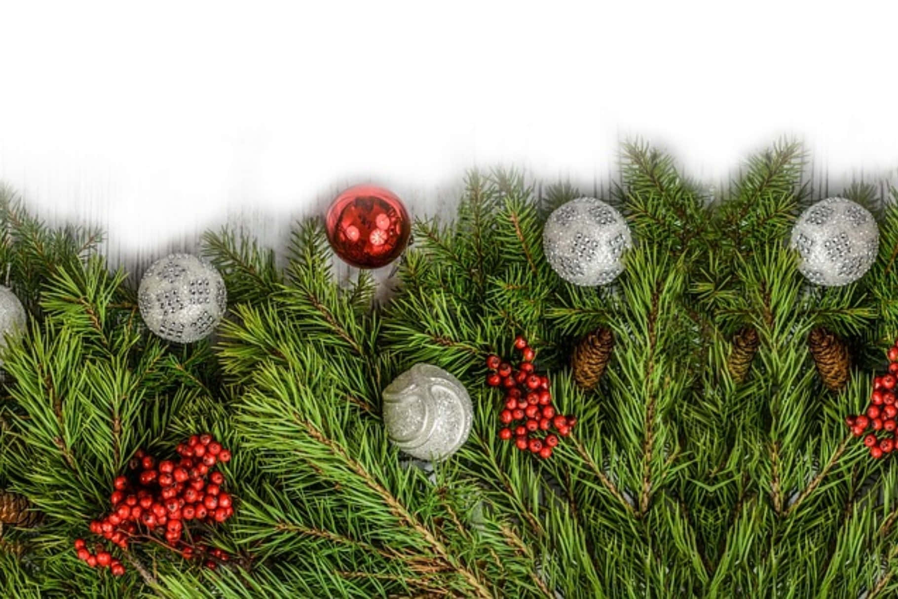 Christmas Ornament 桌布 壁紙 — 白色背景上，綠色松樹枝條裝飾著紅色漿果、銀色和紅色飾品以及松果，構成節日假期邊框。