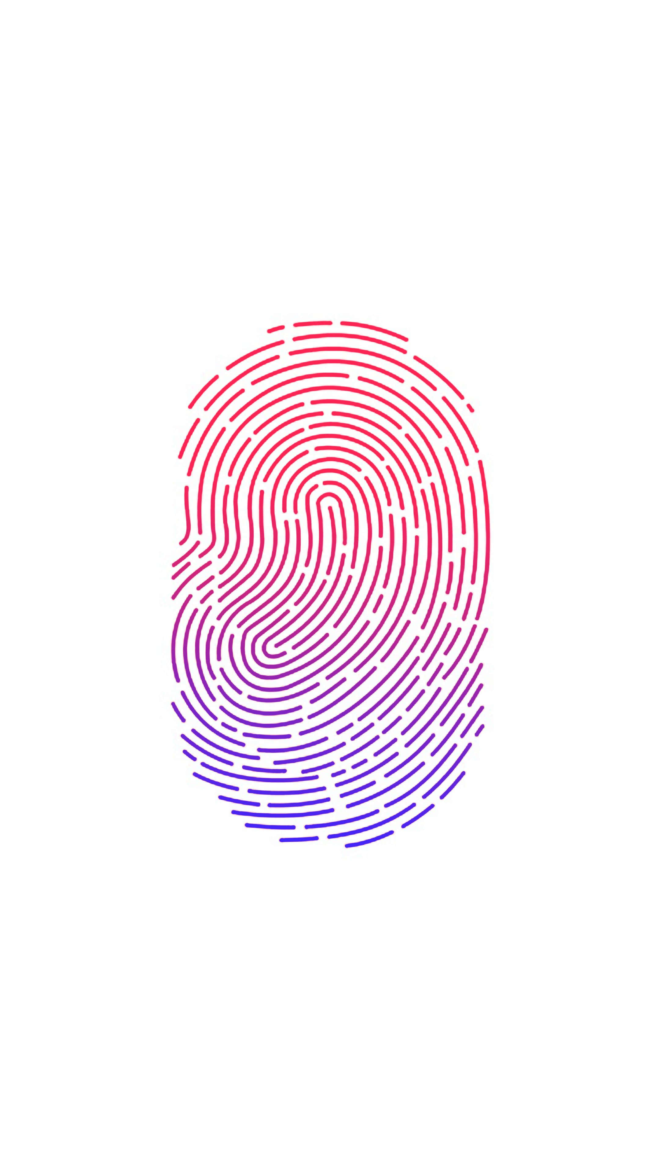 Touch Id 桌布 壁紙 — 白色背景上以粉紅到紫色漸變線條構成的風格化指紋圖案。