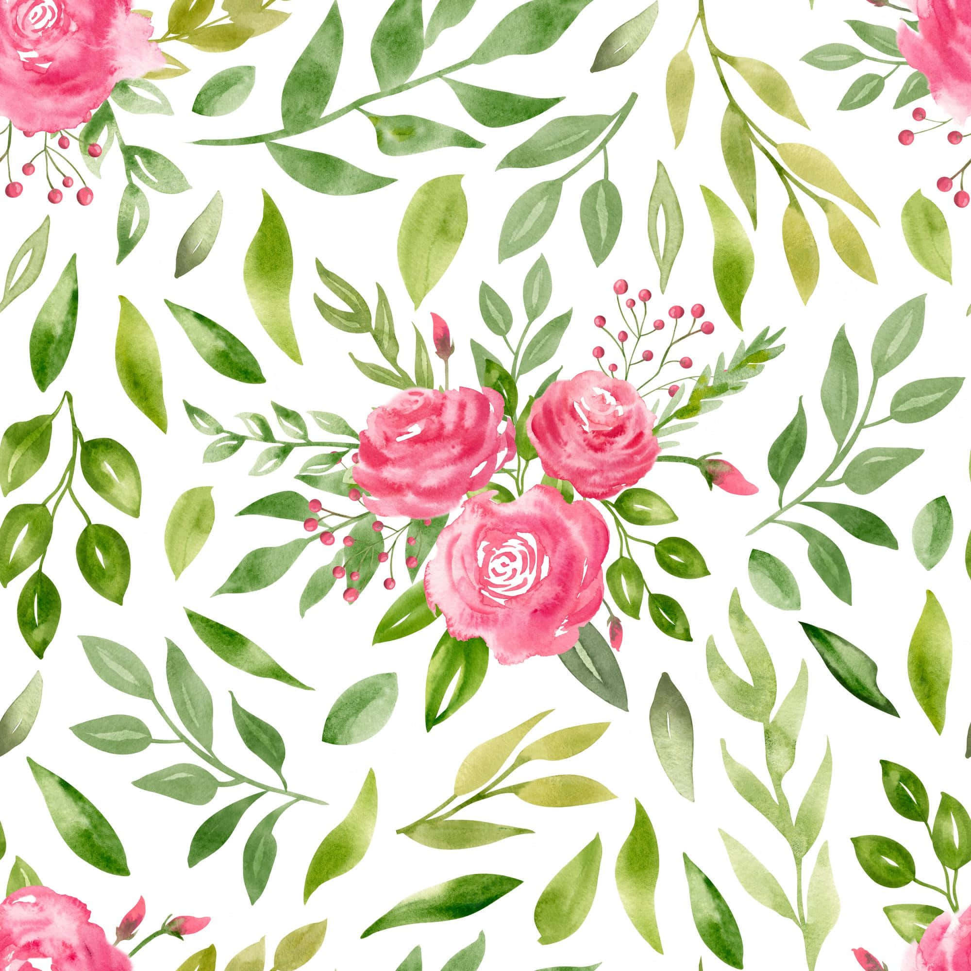 Watercolor Floral 桌布 壁紙 — 白色背景上充滿活力的粉紅玫瑰和綠葉水彩花卉圖案。