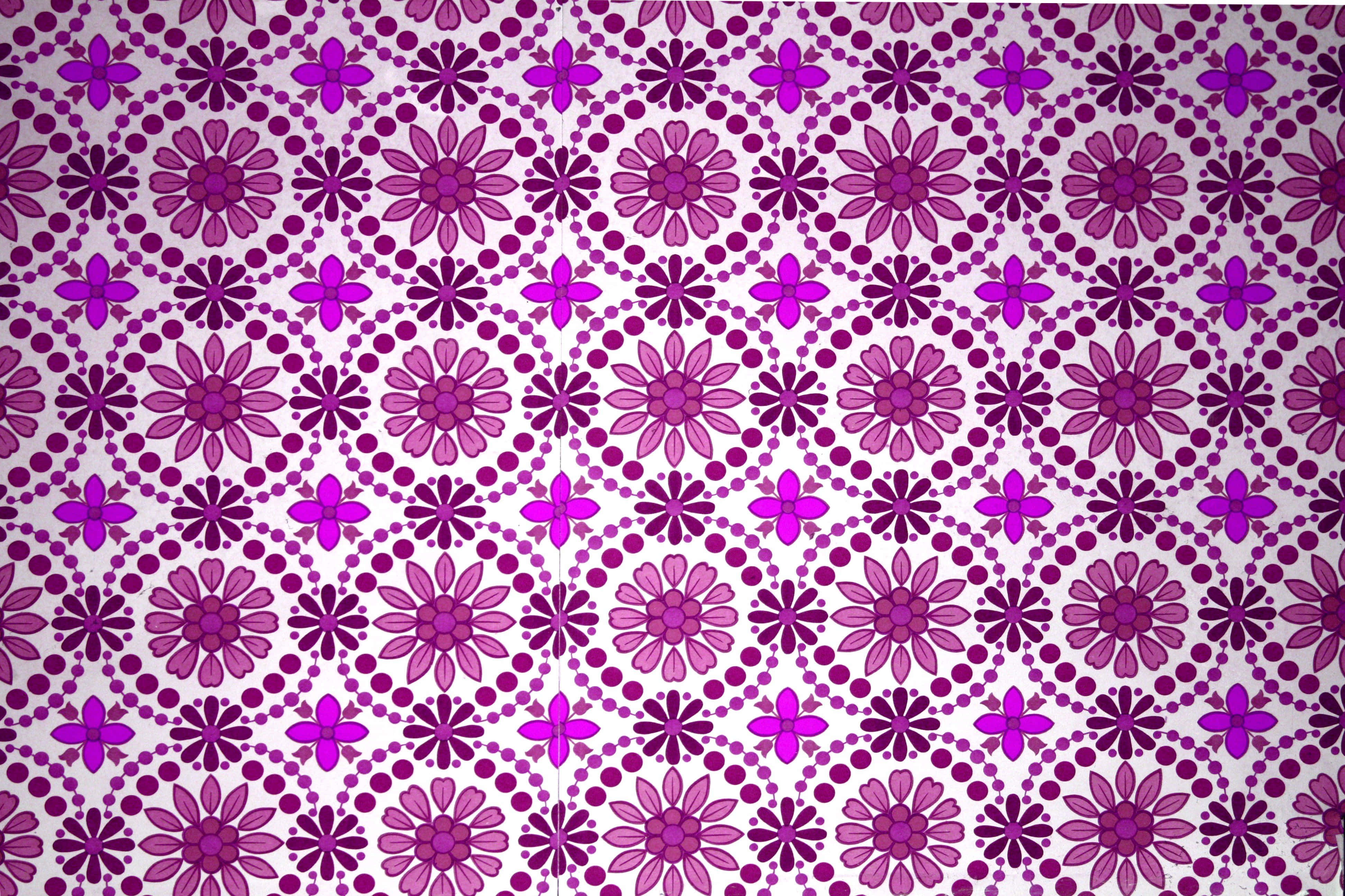 Magenta 桌布 壁紙 — 白色背景上帶有圓點鏈條的鮮豔紫色花卉圖案，復古風格。