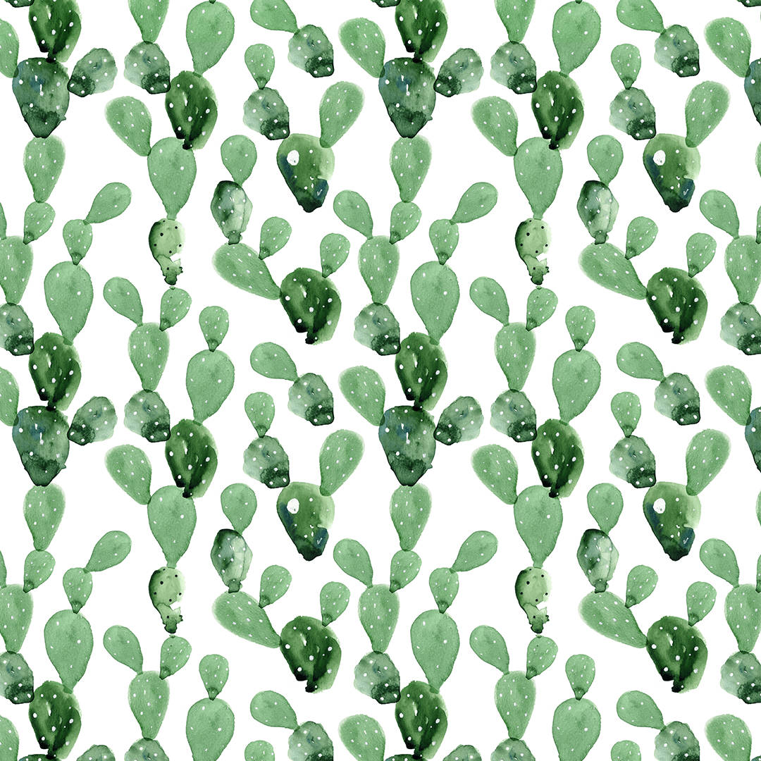 Cactus 桌布 壁紙 — 白色背景上帶有白色圓點的綠色仙人掌墊的水彩圖案。
