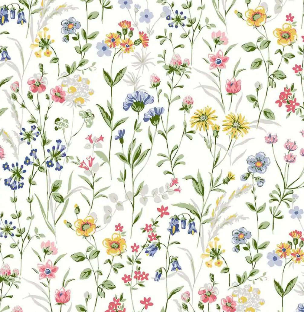 Floral Print 桌布 壁紙 — 白色背景上帶有粉紅色、黃色和藍色野花的精緻水彩花卉圖案。