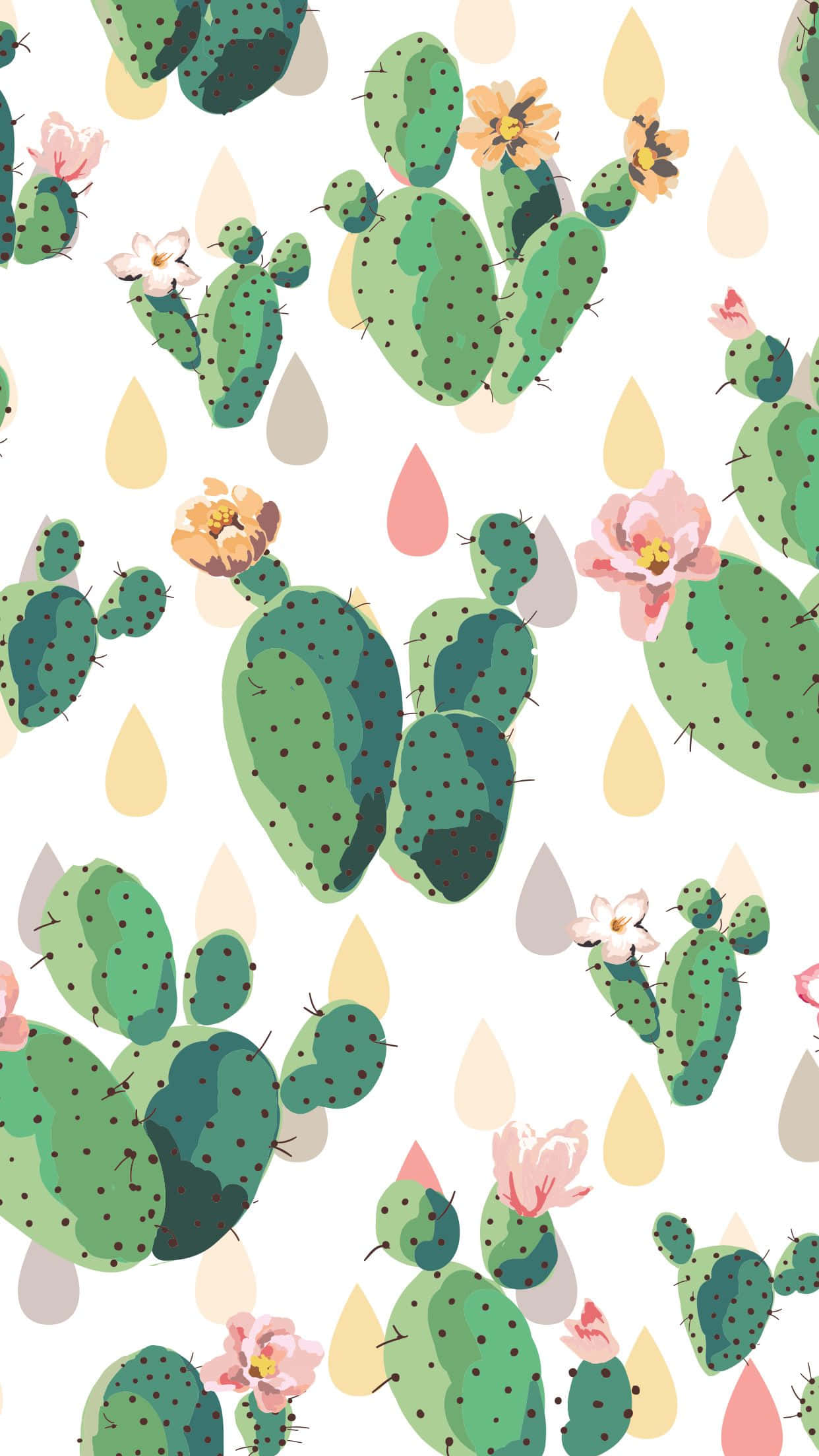 Cute Cactus 桌布 壁紙 — 白色背景上插圖仙人掌，帶有粉紅色和橙色花朵及粉彩色雨滴。
