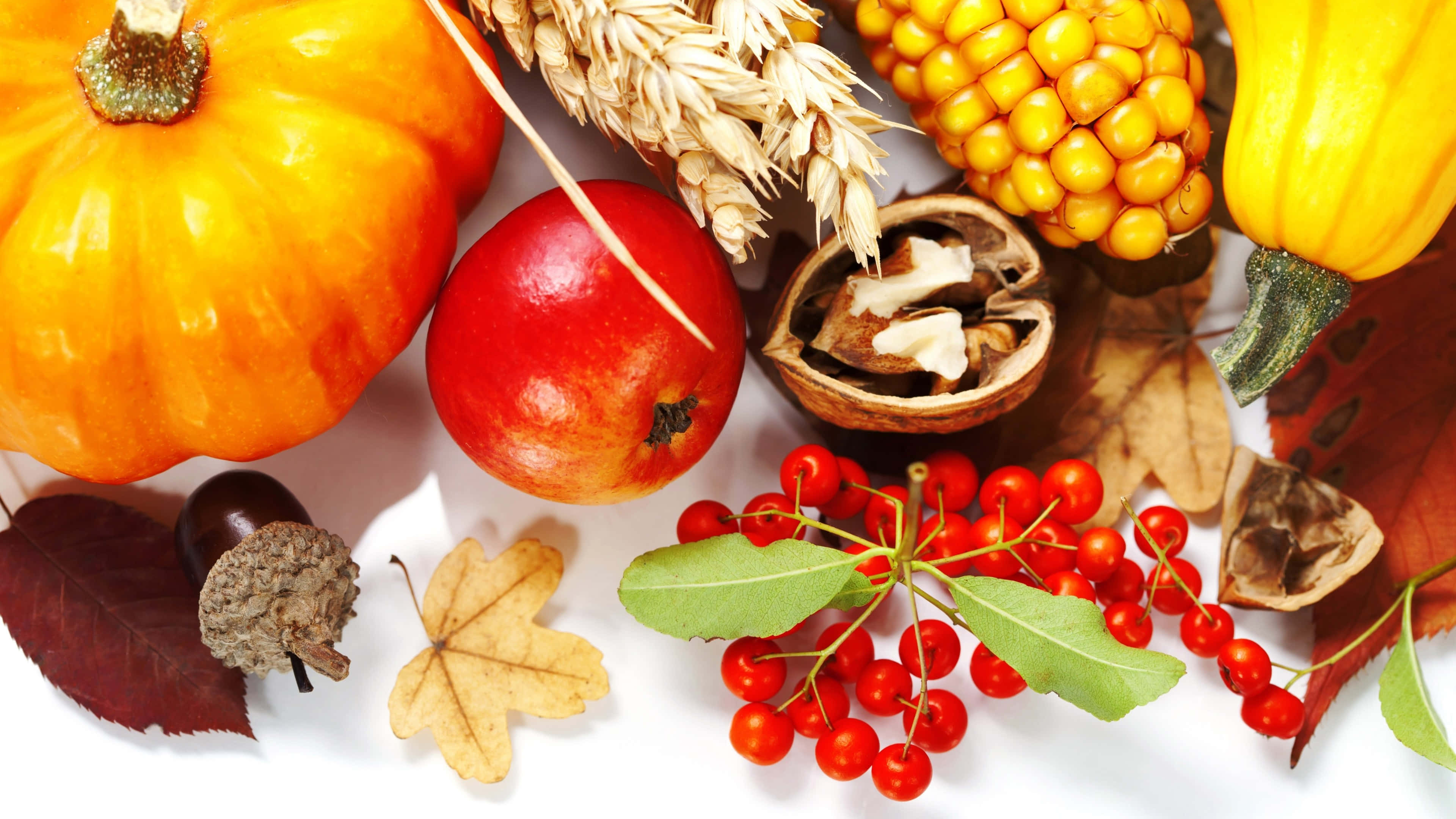 Autumn Food 桌布 壁紙 — 白色背景上擺放南瓜、石榴、玉米和紅色漿果的充滿活力的秋季豐收靜物。