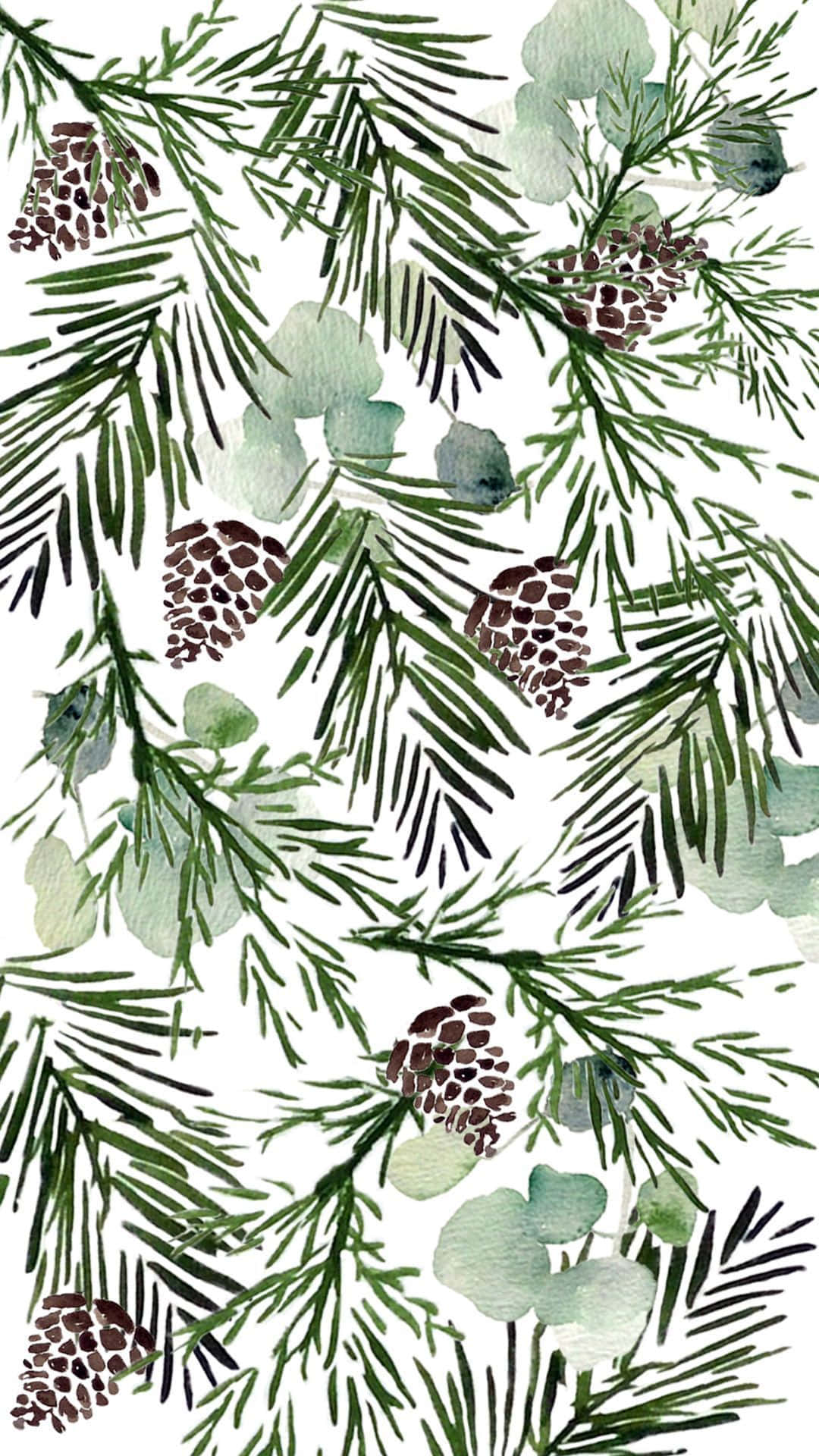 Pine Tree 桌布 壁紙 — 白色背景上松樹枝和尤加利葉與松果的水彩插圖。
