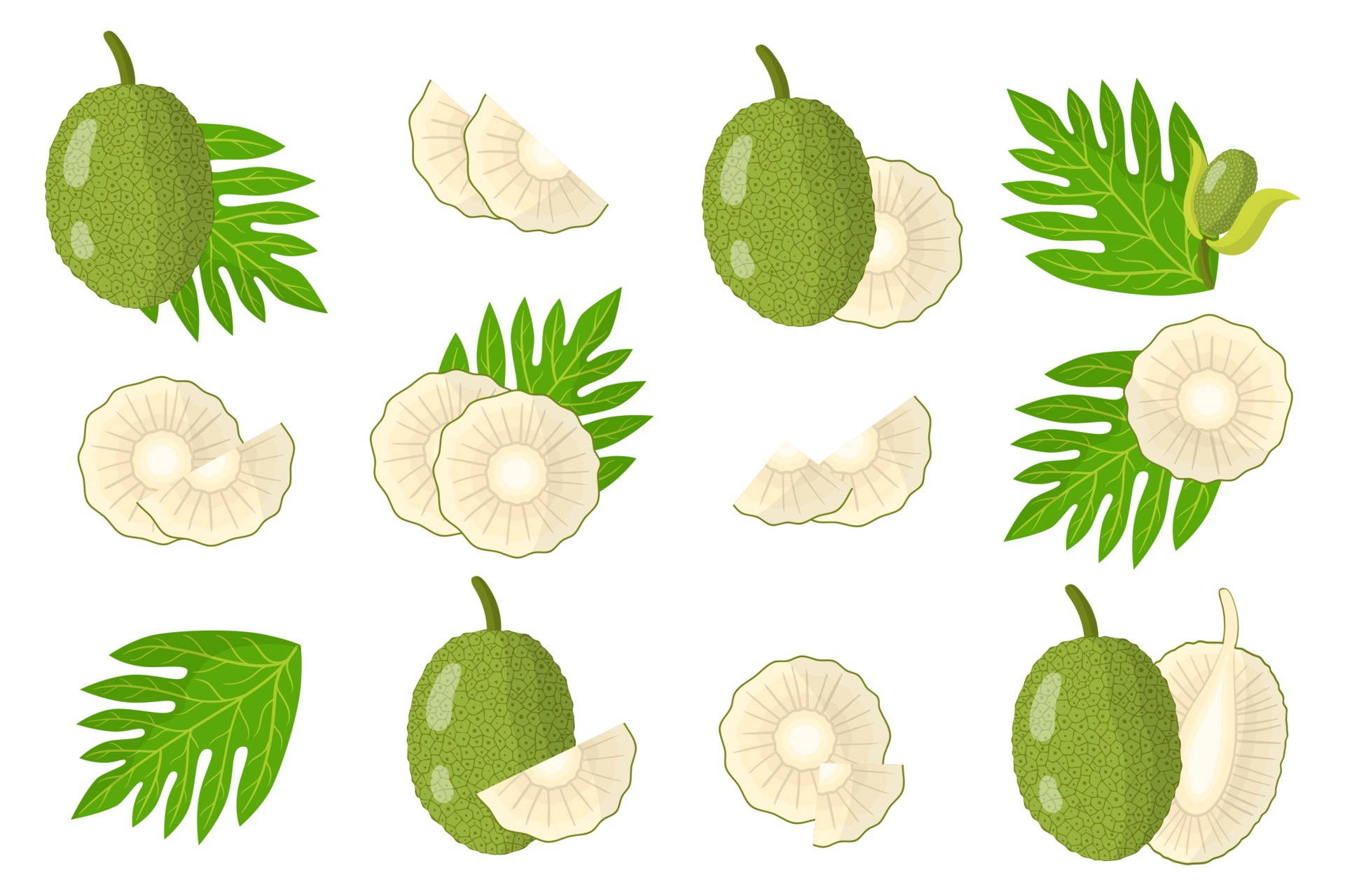 Fruits 桌布 壁紙 — 白色背景上的菠蘿蜜完整和切片連熱帶葉子插圖集。