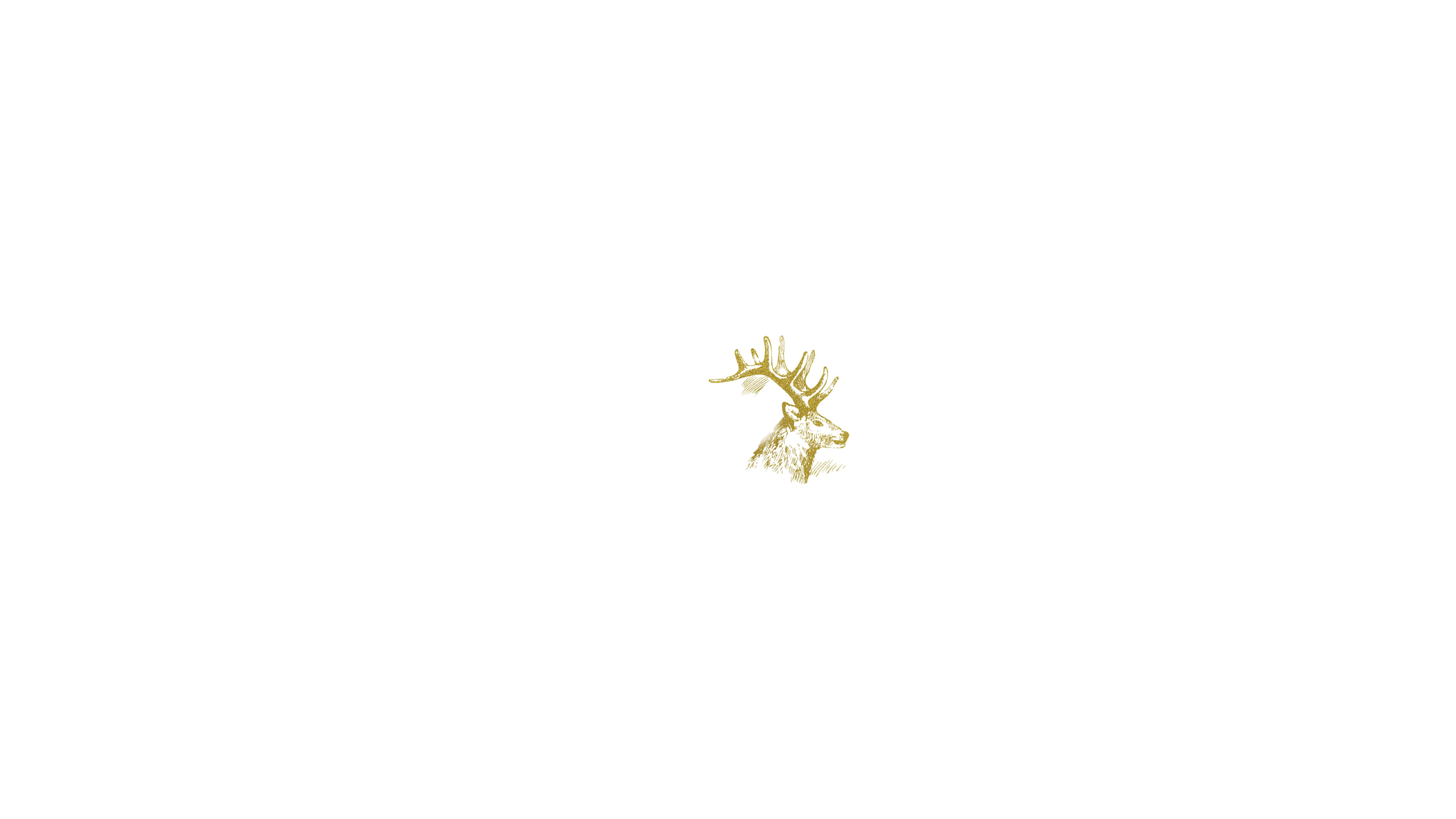 白色背景上的金色鹿頭 壁紙
