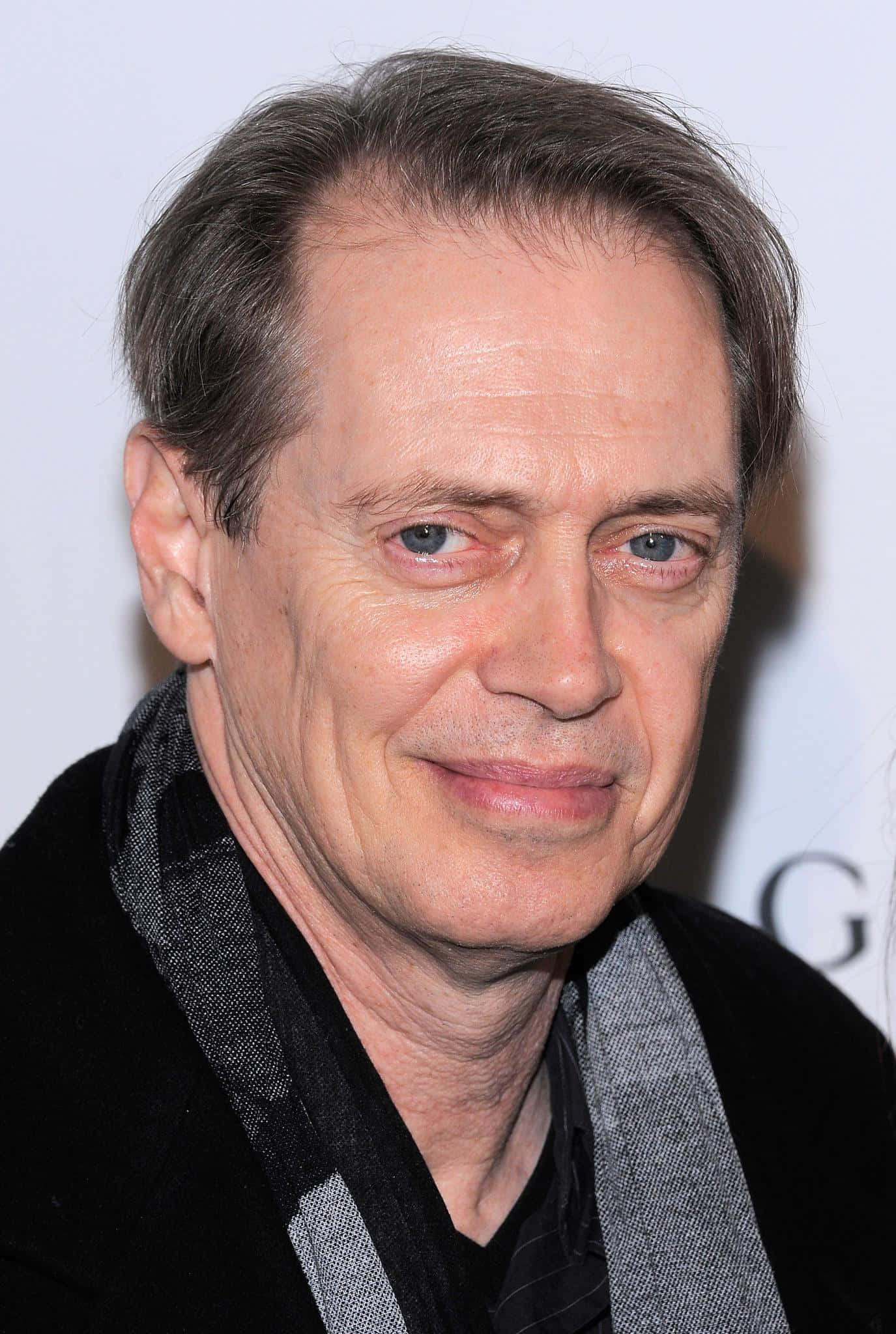 steve buscemi 桌布 壁紙 — 白色背景前，一位灰髮藍眼男士身穿黑色外套和灰色圍巾的特寫肖像。