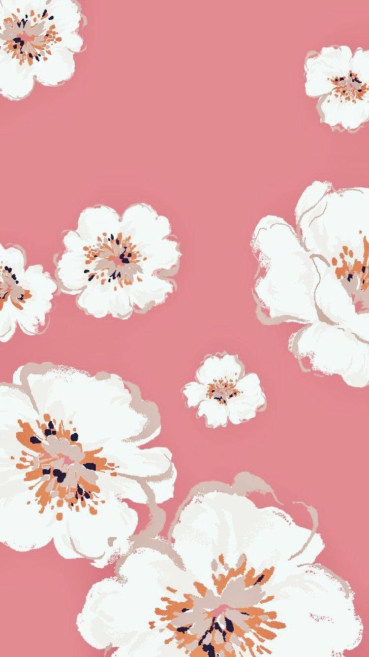 Pinterest 桌布 壁紙 — 白色花朵帶橙色和黑色花心，以繪畫風格漂浮在柔和的粉紅色背景上。