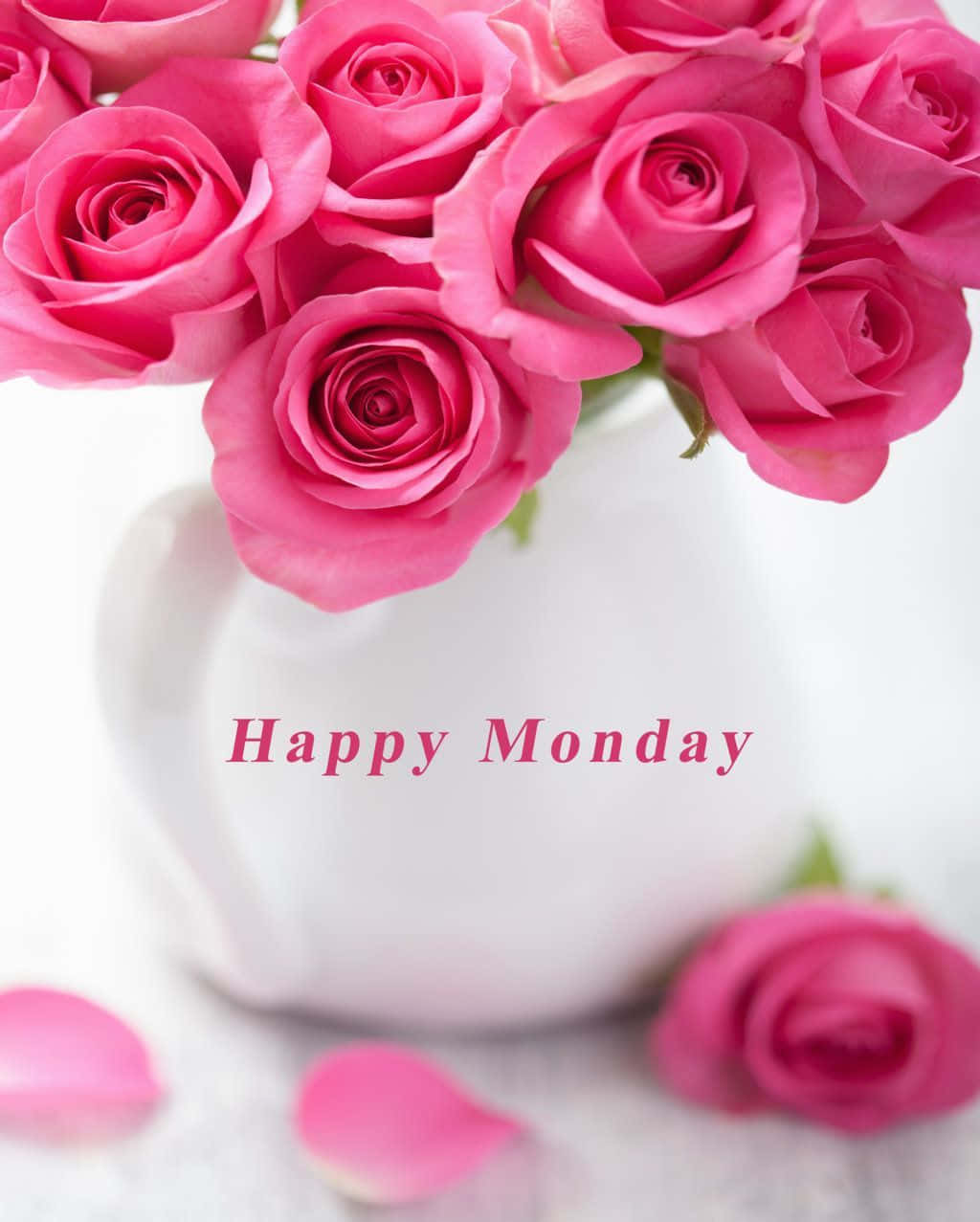 Monday 桌布 壁紙 — 白色花瓶中的一束鮮豔粉紅玫瑰，散落的花瓣和「Happy Monday」文字。