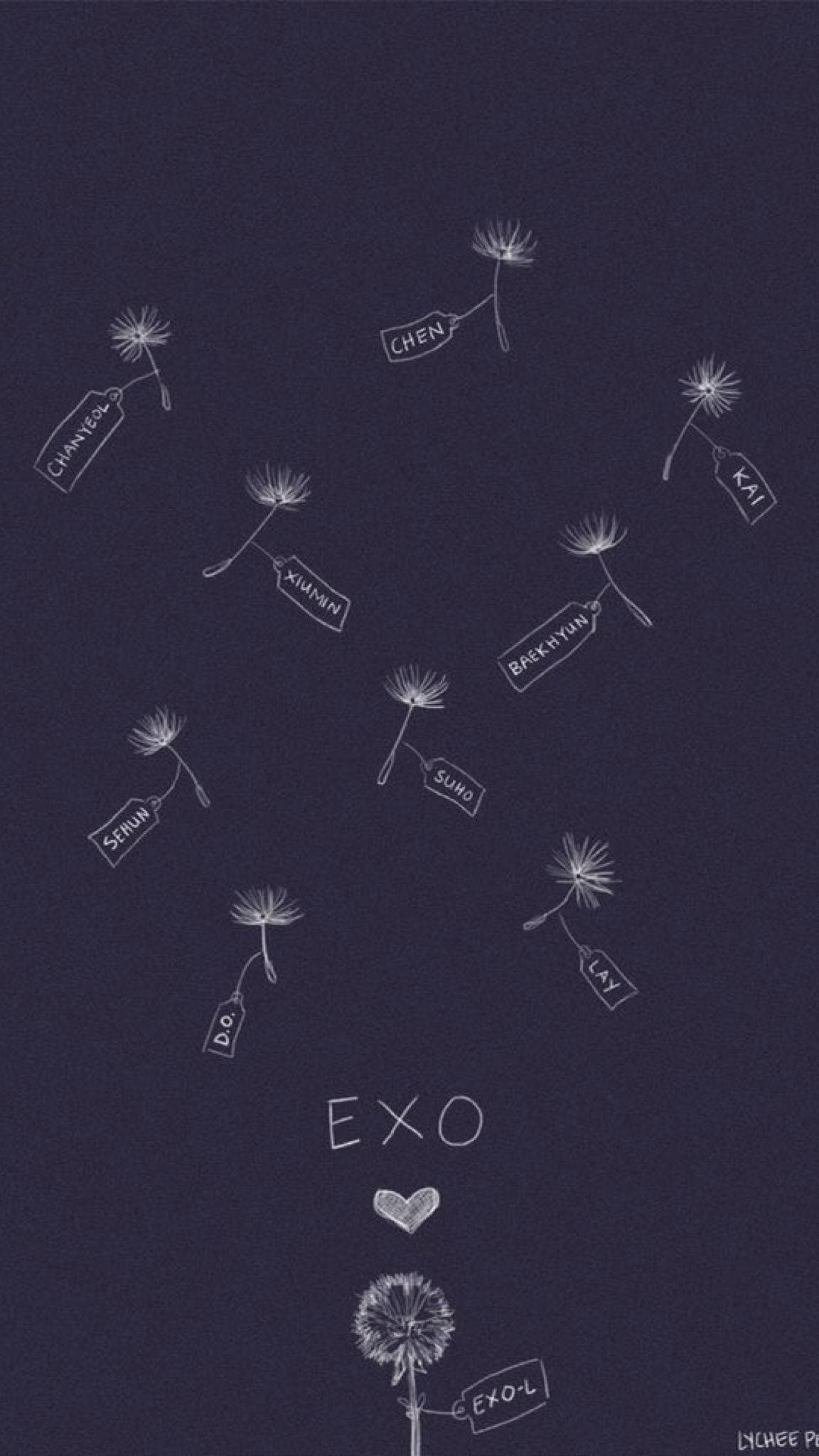 EXO 桌布 壁紙 — 白色蒲公英圖畫帶有成員名字，在深海軍藍背景上漂浮形成心形。