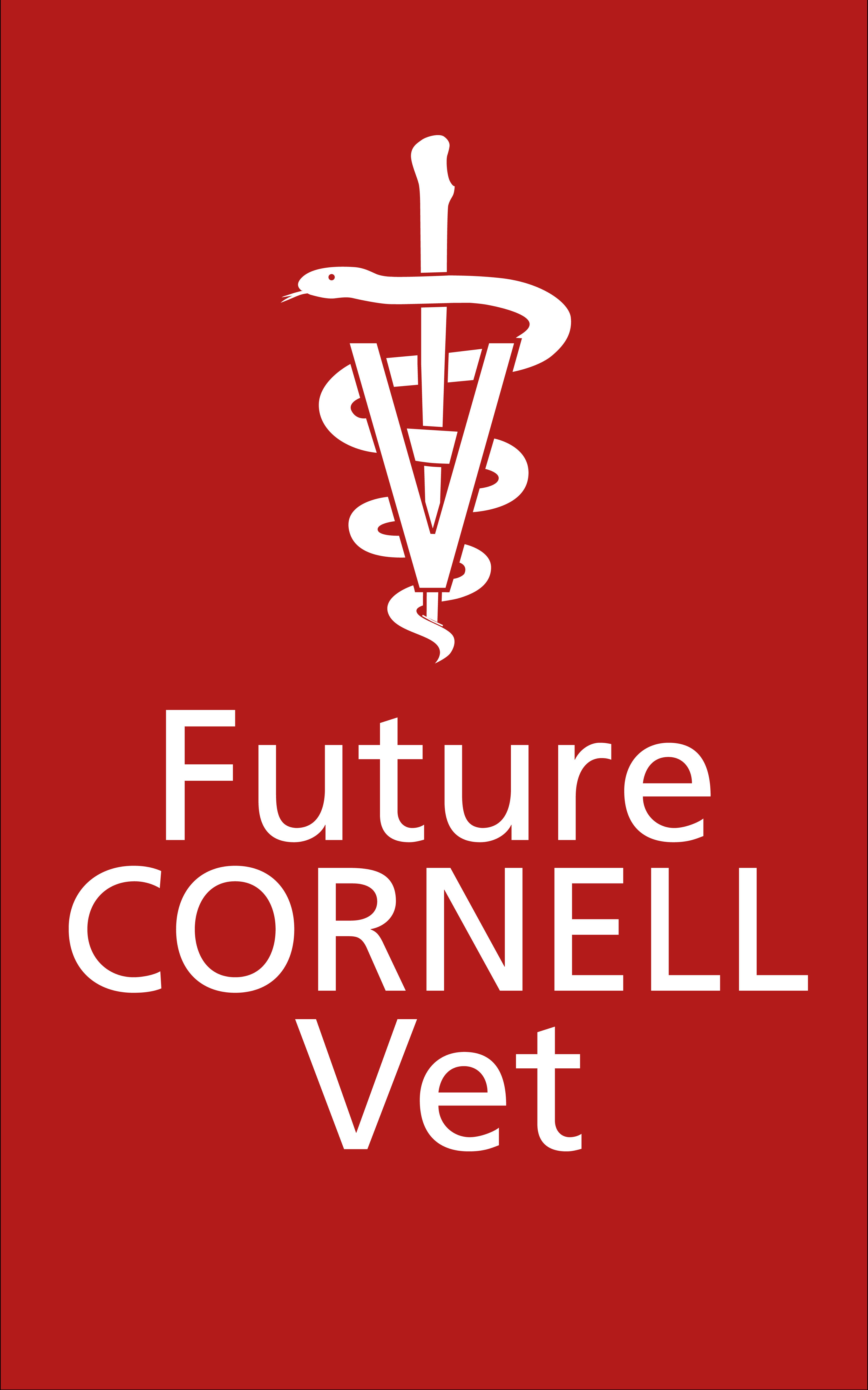 Veterinarian 桌布 壁紙 — 白色蛇杖及文字在純紅色背景上，推廣康乃爾大學未來的獸醫學生。