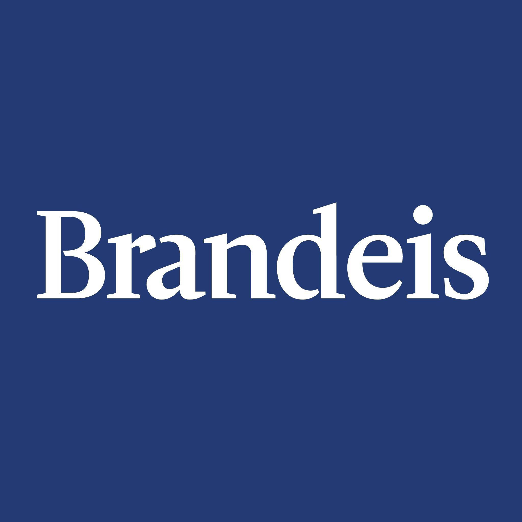 學校 桌布 壁紙 — 白色襯線字體「Brandeis」一詞居中顯示在純海軍藍色背景上。