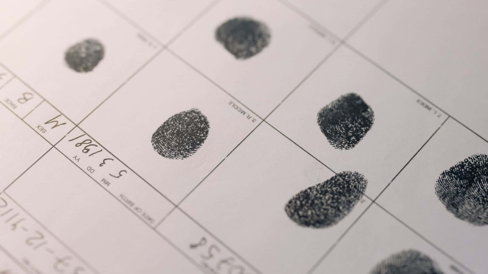 Fingerprint 桌布 壁紙 — 白色鑑識卡上深色墨水指紋的特寫，帶有印刷欄位和手寫細節。