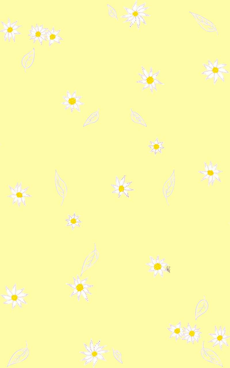 Daisy 桌布 壁紙 — 白色雛菊和葉子在柔和黃色背景上以極簡圖案輕輕飄浮。
