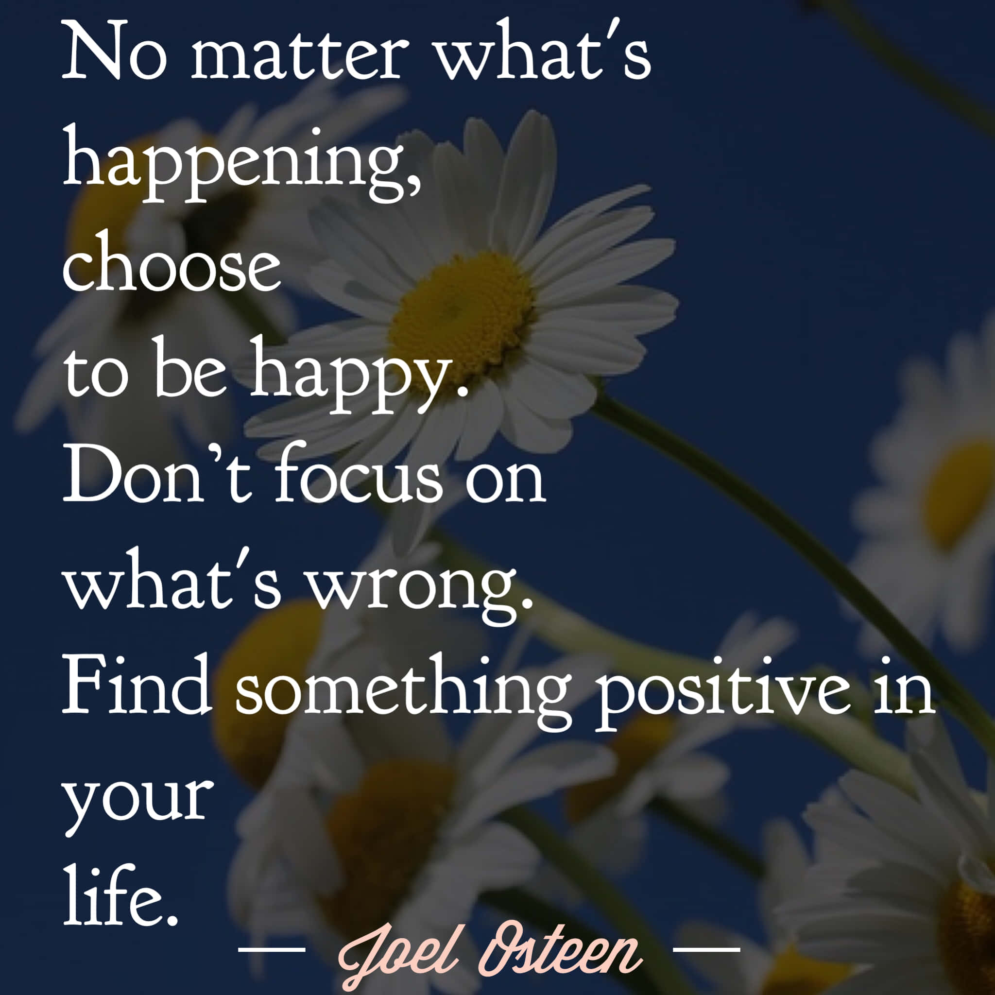 Inspirational Quotes 桌布 壁紙 — 白色雛菊帶有黃色花心，在深藍色背景上柔和綻放，並覆蓋著白色文字的勵志語錄。