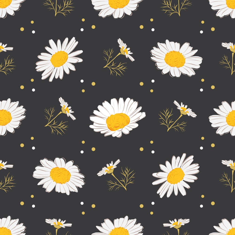 Daisy Flower 桌布 壁紙 — 白色雛菊帶有黃色花心和金色花莖，散落在深灰色背景上，點綴著細小的白色和金色斑點。