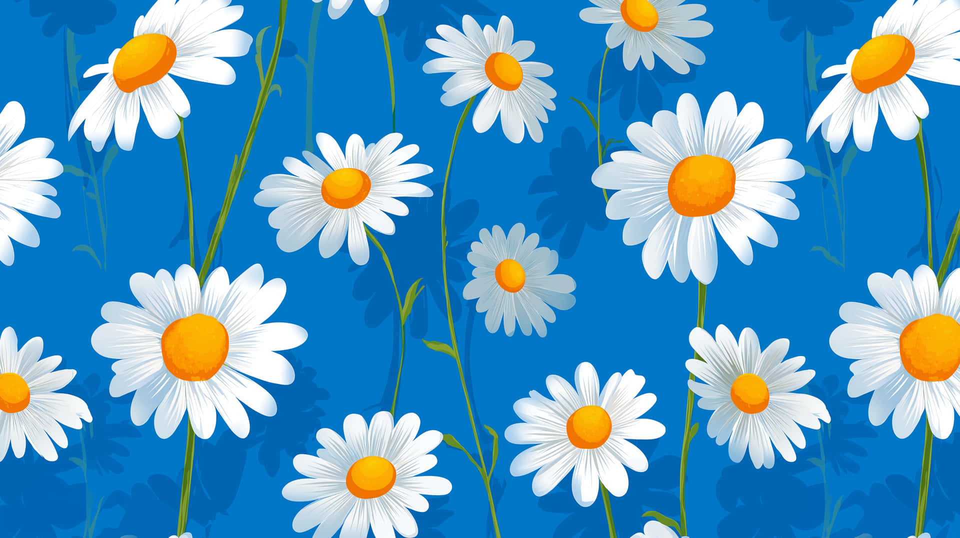 Vibrant Daisy Blossom Array on a Rich Field 壁紙 — 白色雛菊帶橙色花心，在綠色莖上盛開，襯托著充滿活力的藍色背景。
