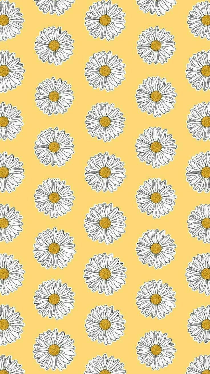 Daisies 桌布 壁紙 — 白色雛菊帶黃色中心在純淡黃色背景上以整齊網格重複。