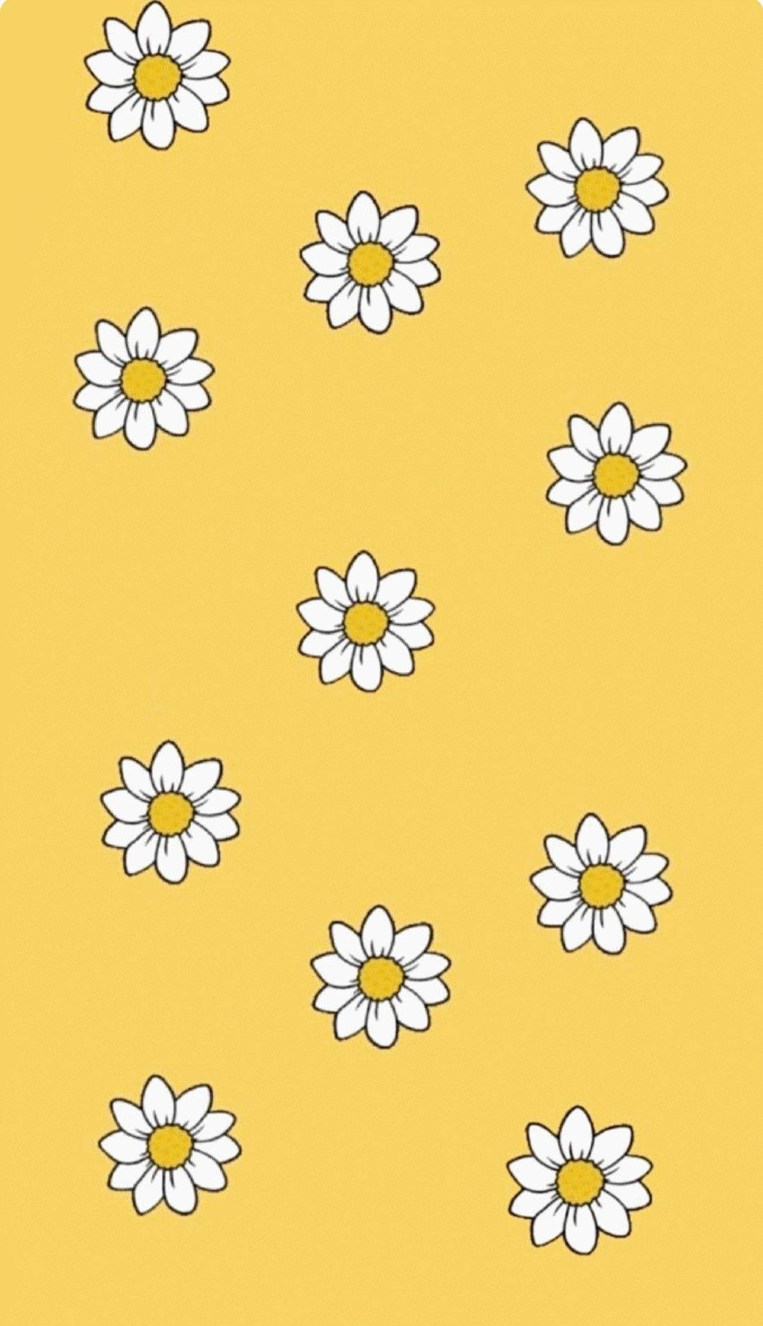 Daisy 桌布 壁紙 — 白色雛菊帶黃色花心，以散落圖案漂浮在純芥末黃色背景上。