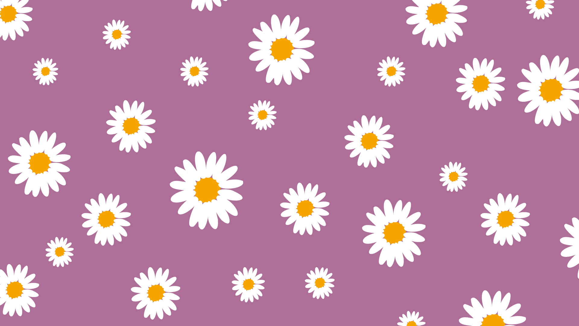 Daisies 桌布 壁紙 — 白色雛菊帶黃色花心，在柔和的紫色背景上以俏皮的散落圖案漂浮。