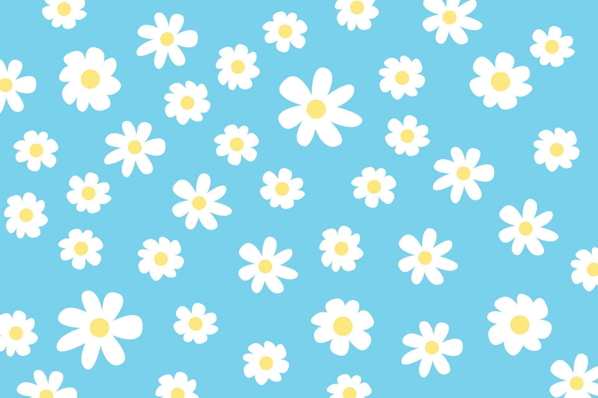 Daisy 桌布 壁紙 — 白色雛菊帶黃色花心，在柔和的藍色背景上漂浮，形成歡快的重複圖案。