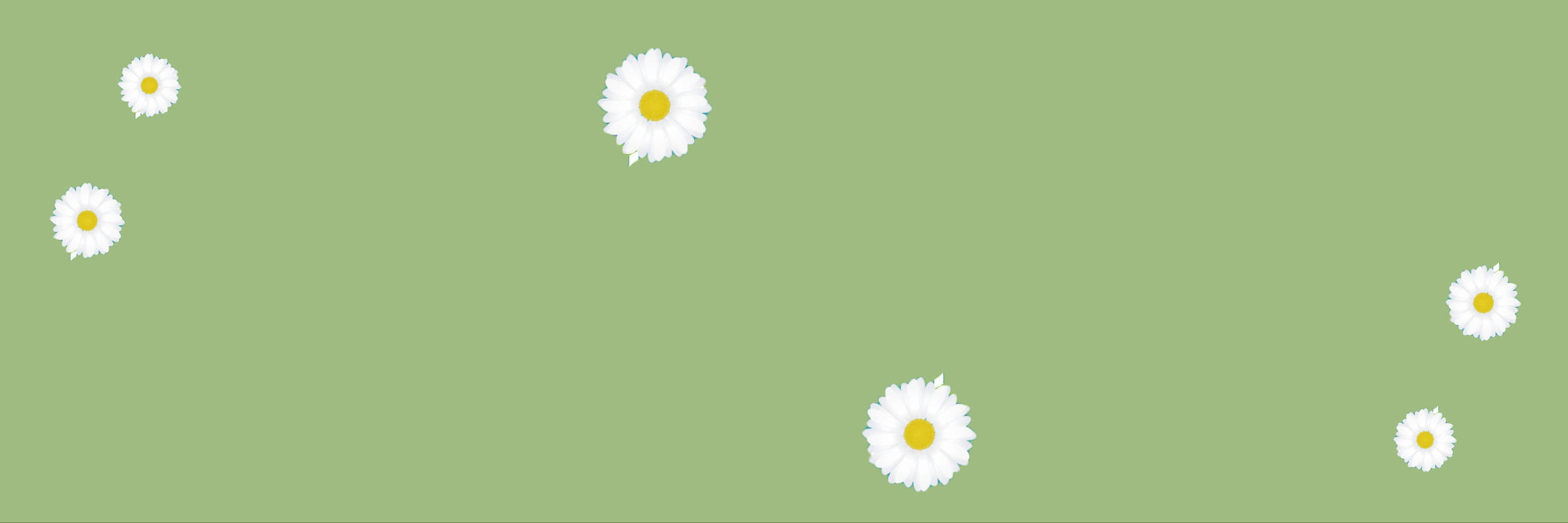 Minimalist Flower Computer 桌布 壁紙 — 白色雛菊帶黃色花心，在柔和的鼠尾草綠色背景上輕輕漂浮，極簡數位插圖。
