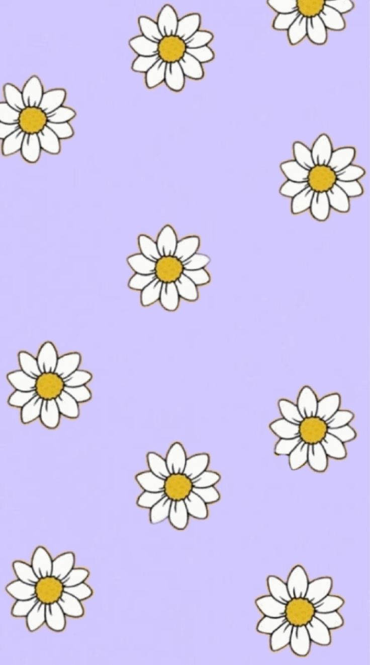雛菊 iPhone 桌布 壁紙 — 白色雛菊帶黃色花心，漂浮在柔和的薰衣草背景上，形成分散圖案。