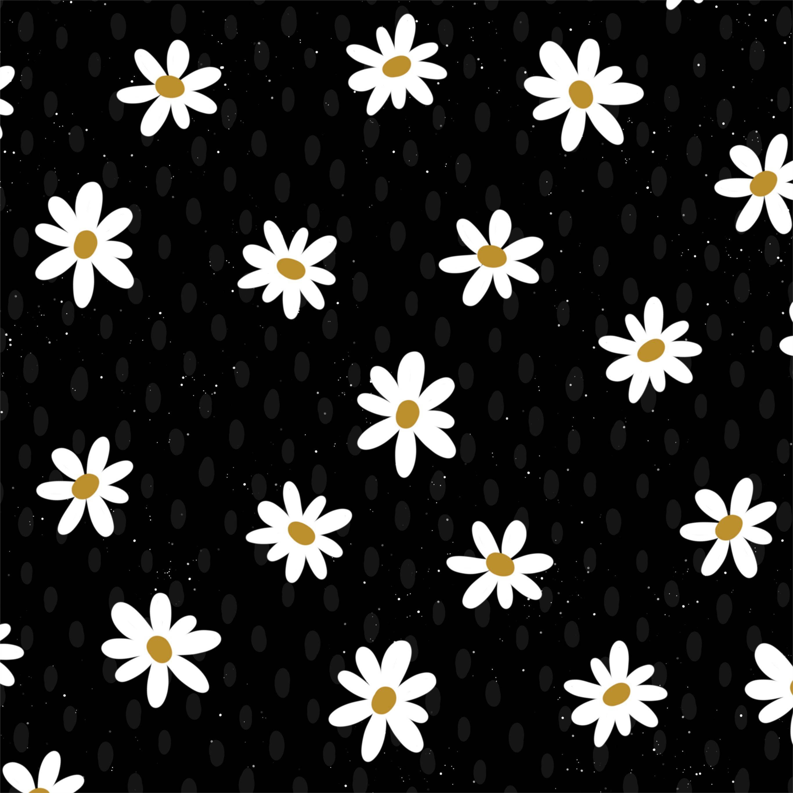 Daisy 桌布 壁紙 — 白色雛菊帶黃色花心，漂浮在黑色背景上，點綴著細小的灰色橢圓形和白色斑點。