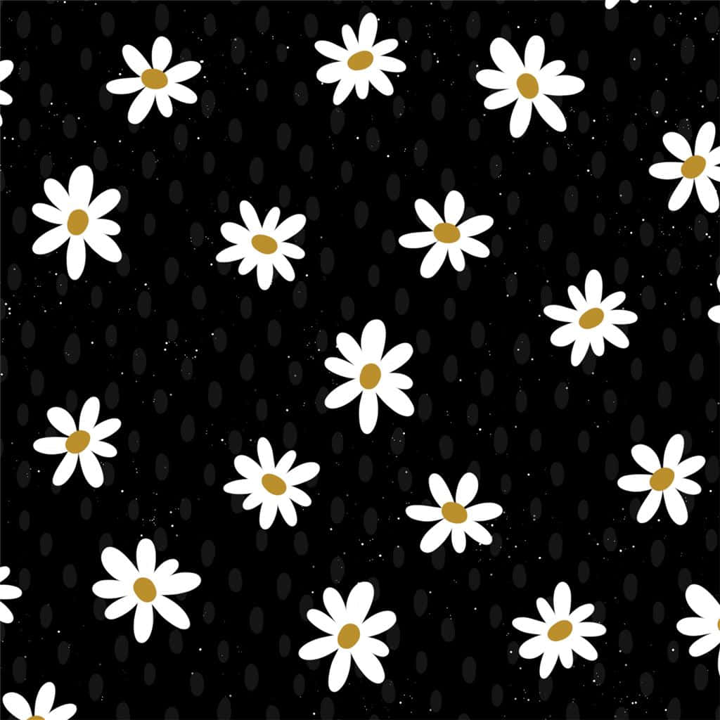 Daisies 桌布 壁紙 — 白色雛菊帶黃色花心，漂浮在點綴著細小白色斑點和深色橢圓形狀的黑色背景上。
