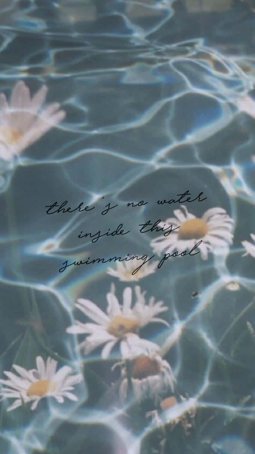 Harry Styles Collage 桌布 壁紙 — 白色雛菊漂浮在漣漪的藍色水面上，並帶有手寫文字疊加。