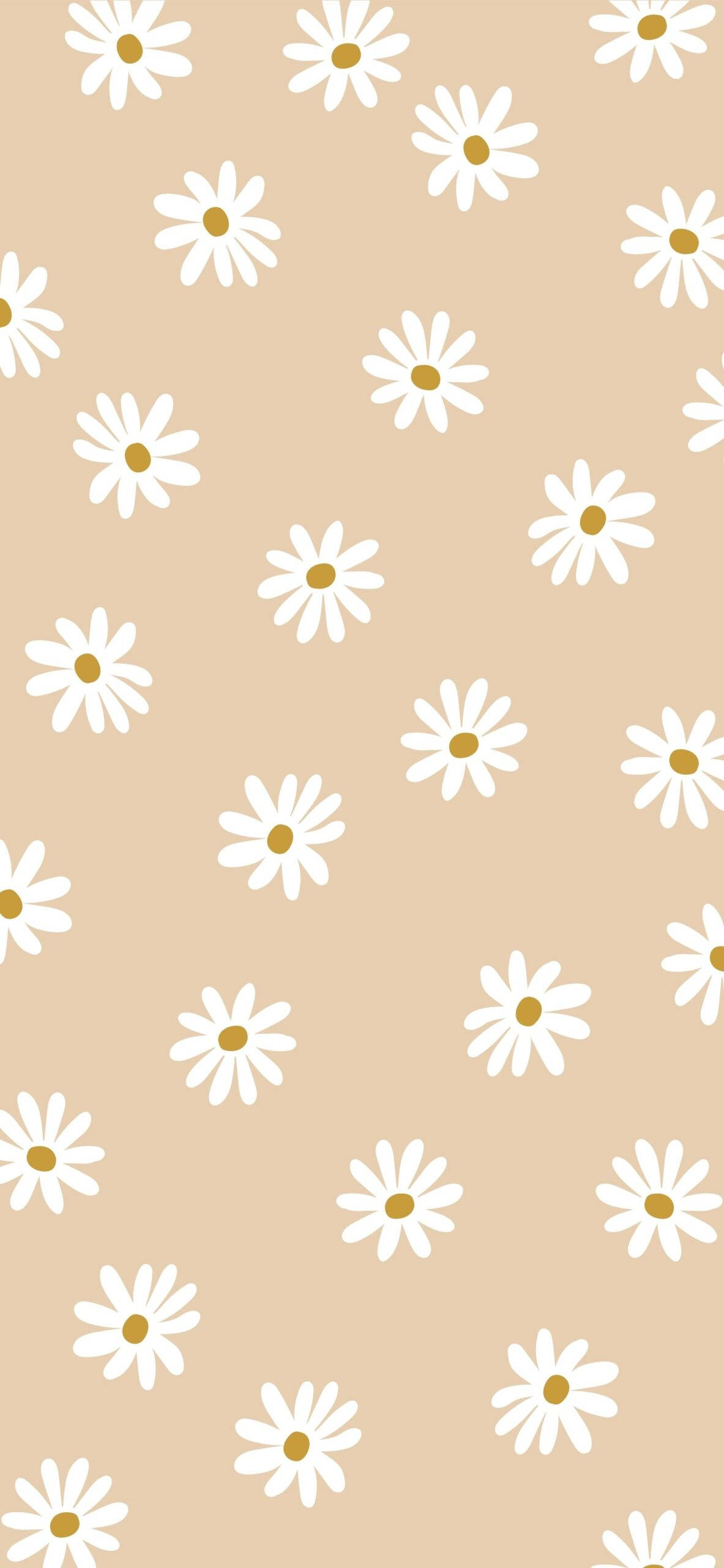 Daisy 桌布 壁紙 — 白色雛菊配黃色花心，在柔和米色背景上以重複圖案漂浮。