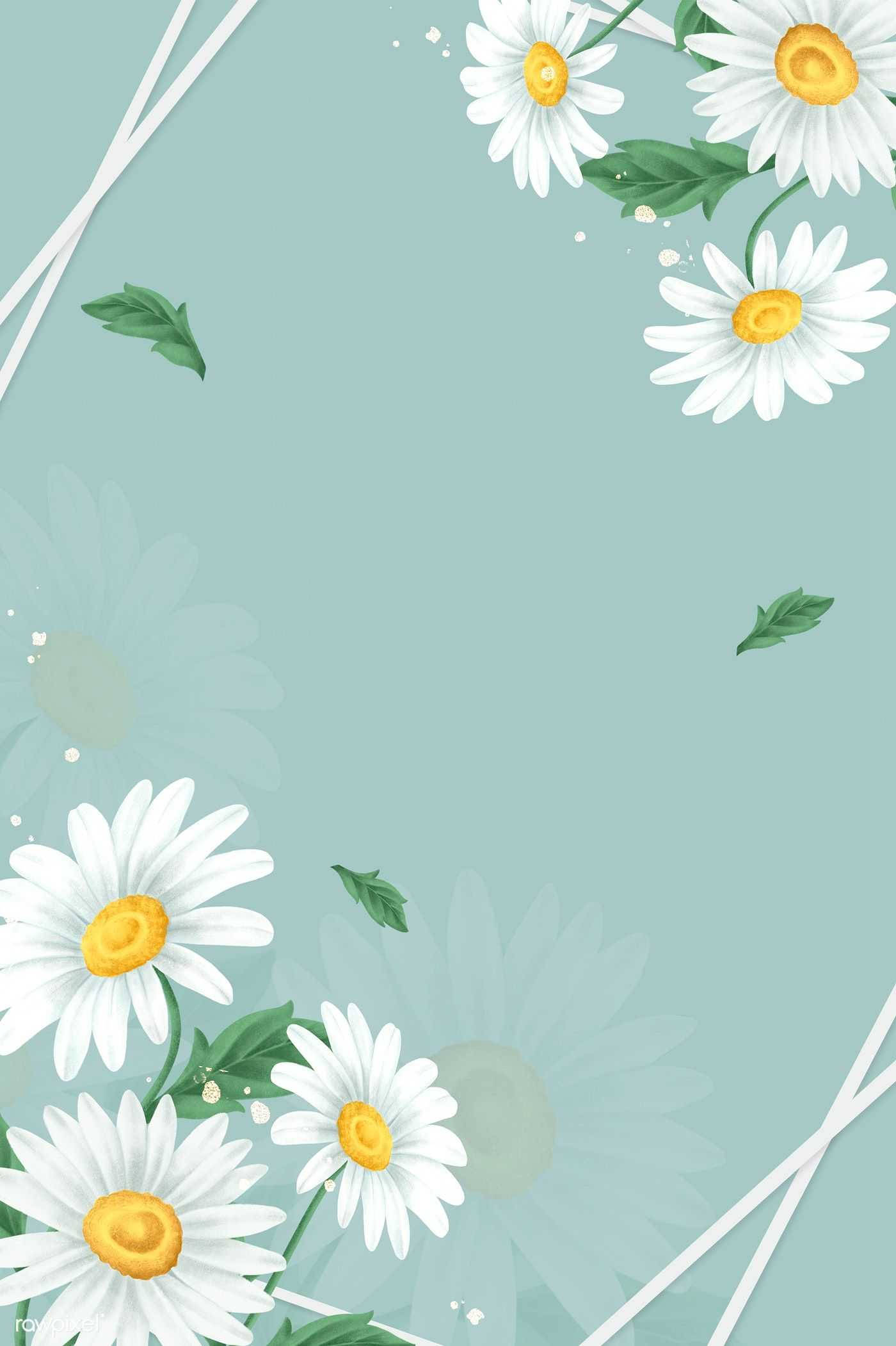 Daisy 桌布 壁紙 — 白色雛菊配黃色花心和綠色葉子，環繞柔和的薄荷色背景，帶有微妙的花卉疊加和白色絲帶點綴。