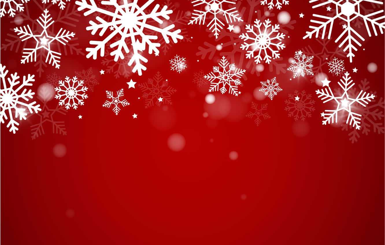 Christmas Red 桌布 壁紙 — 白色雪花和星星在鮮豔的紅色漸變背景上漂浮，帶有柔和的散景效果。