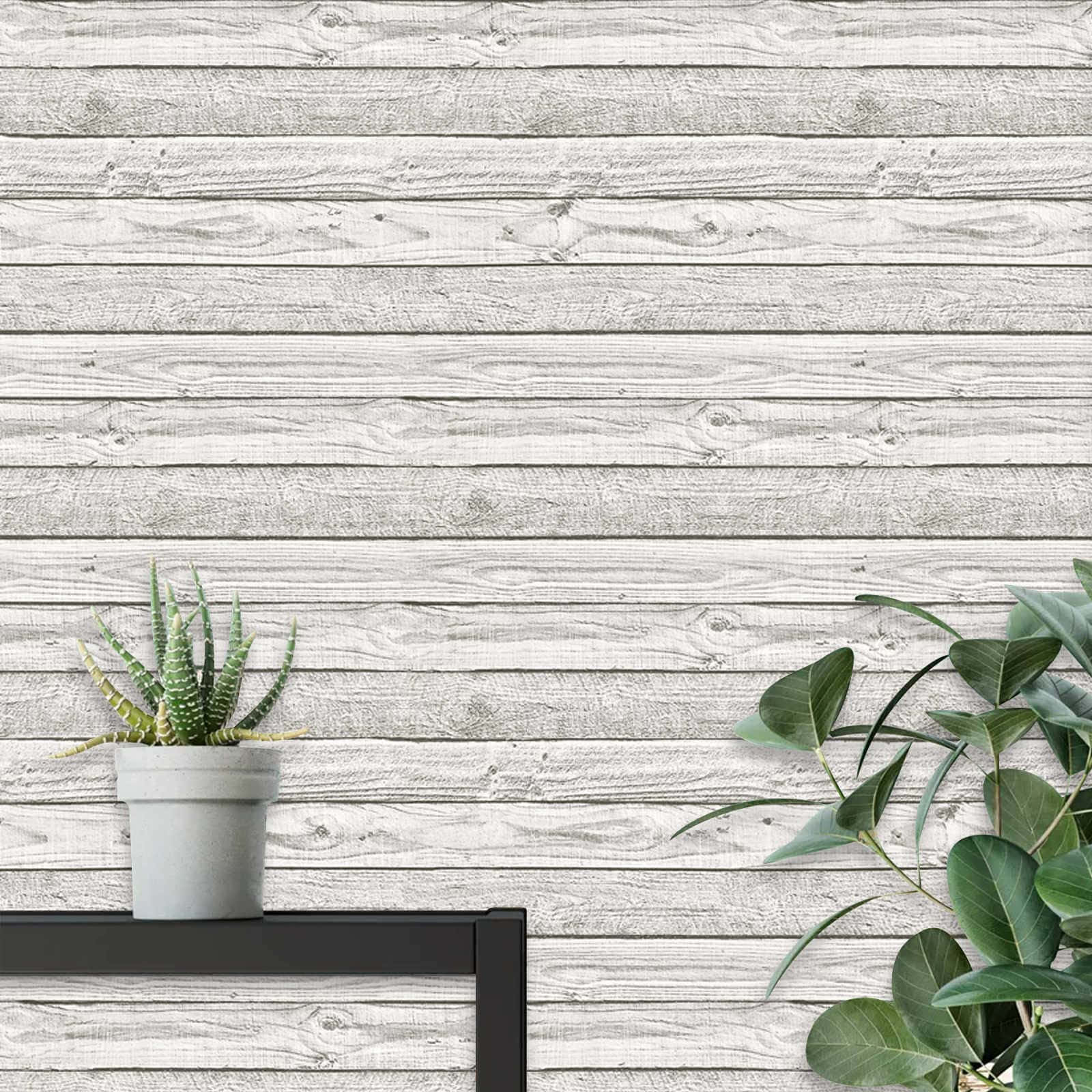 Shiplap 桌布 壁紙 — 白色風化木板形成鄉村背景，盆栽多肉植物和葉子植物增添綠色點綴。