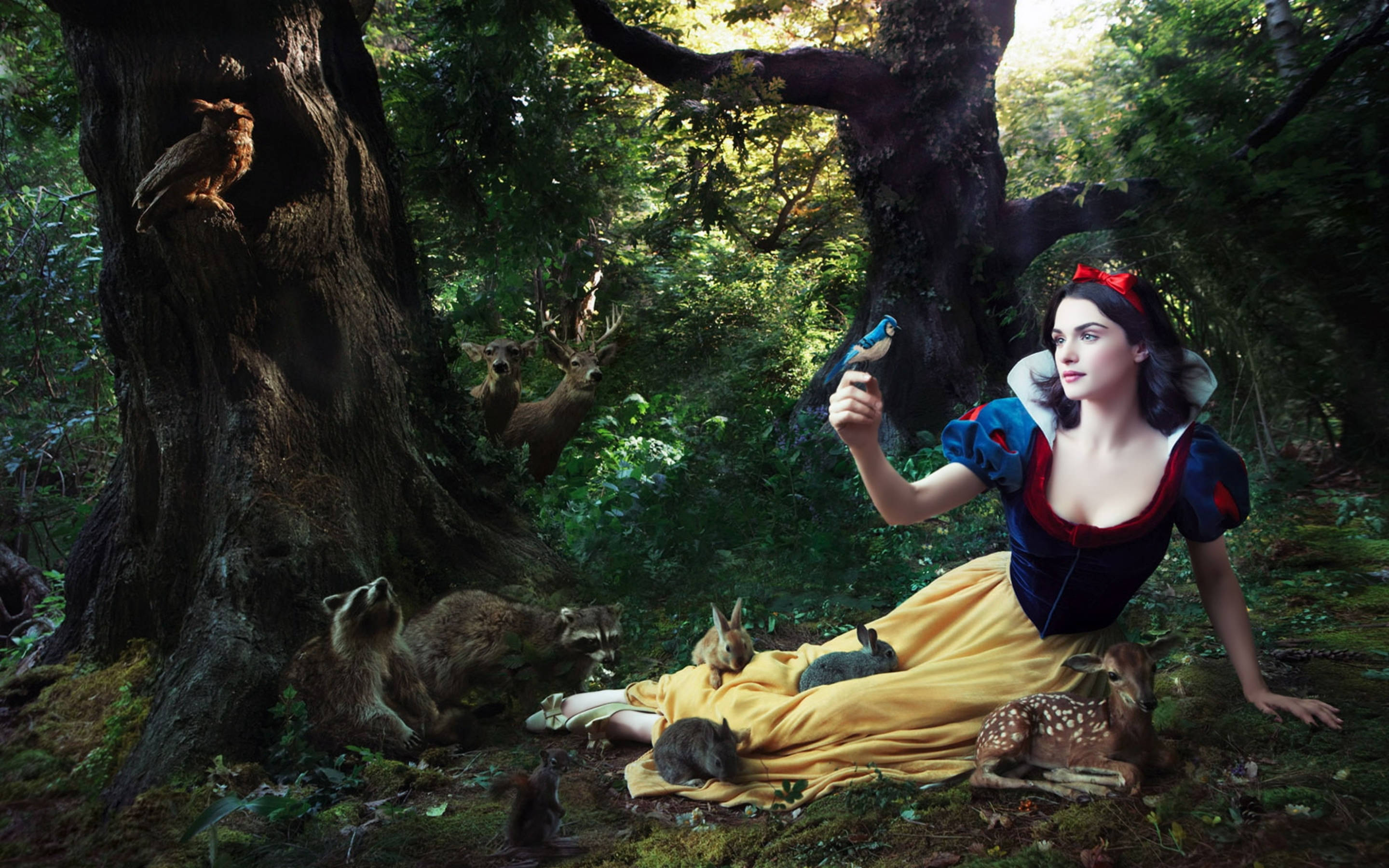 Rachel Weisz 桌布 壁紙 — 白雪公主在森林中，被動物包圍，包括鹿、浣熊和一隻貓頭鷹，在斑駁的陽光下。