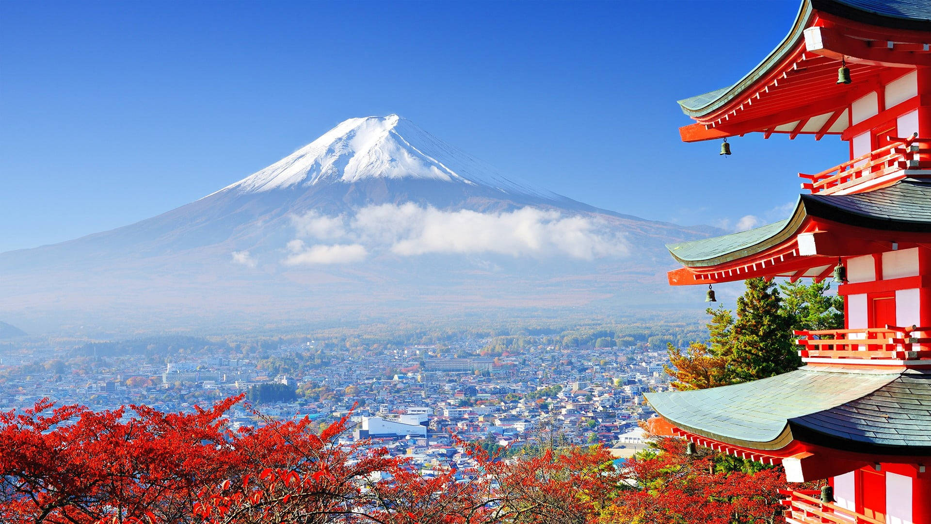 京都 桌布 壁紙 — 白雪皚皚的富士山在晴朗的藍天下，雄偉地聳立在鮮紅色的寺廟和秋葉之後。