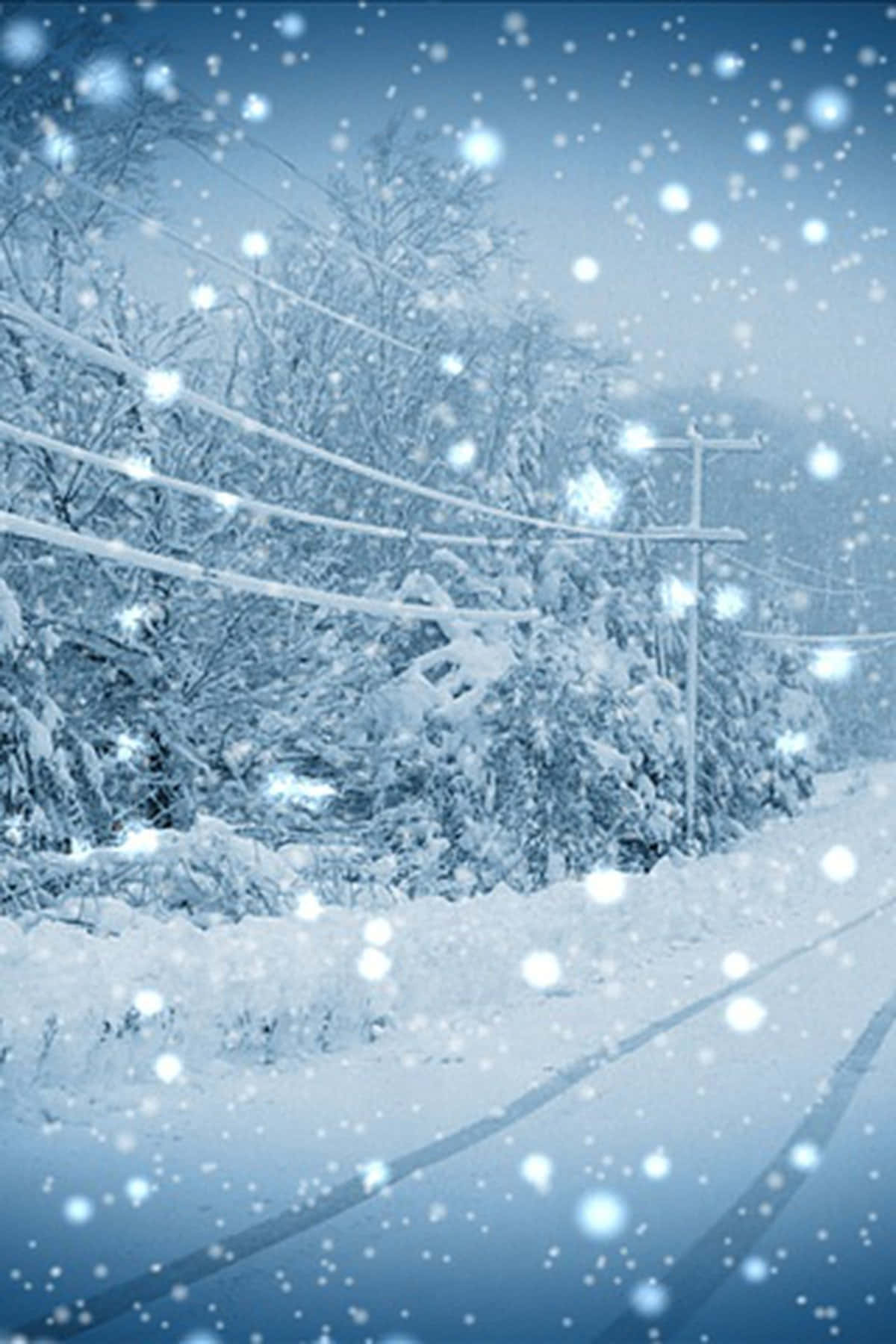 Road 桌布 壁紙 — 白雪覆蓋了一條寧靜的道路，兩旁是結霜的樹木和電線桿，在柔和的藍天下。