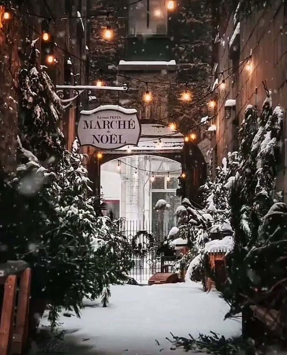 冬天 桌布 壁紙 — 白雪覆蓋了一條舒適的冬季小巷，兩旁種滿常青樹，在輕柔飄落的雪花中閃爍著燈串。
