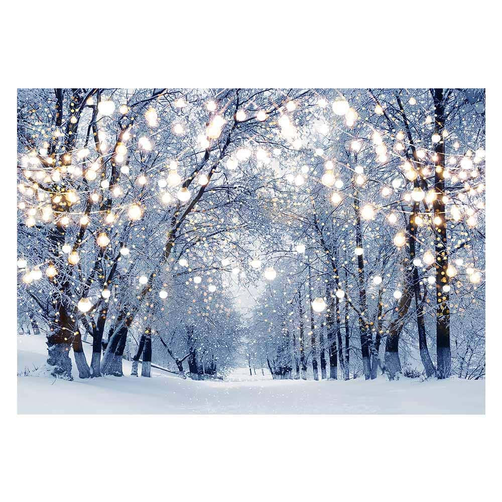 Snowing 桌布 壁紙 — 白雪覆蓋光禿的樹木，溫暖的串燈在冬日森林的樹枝間柔和地閃爍。