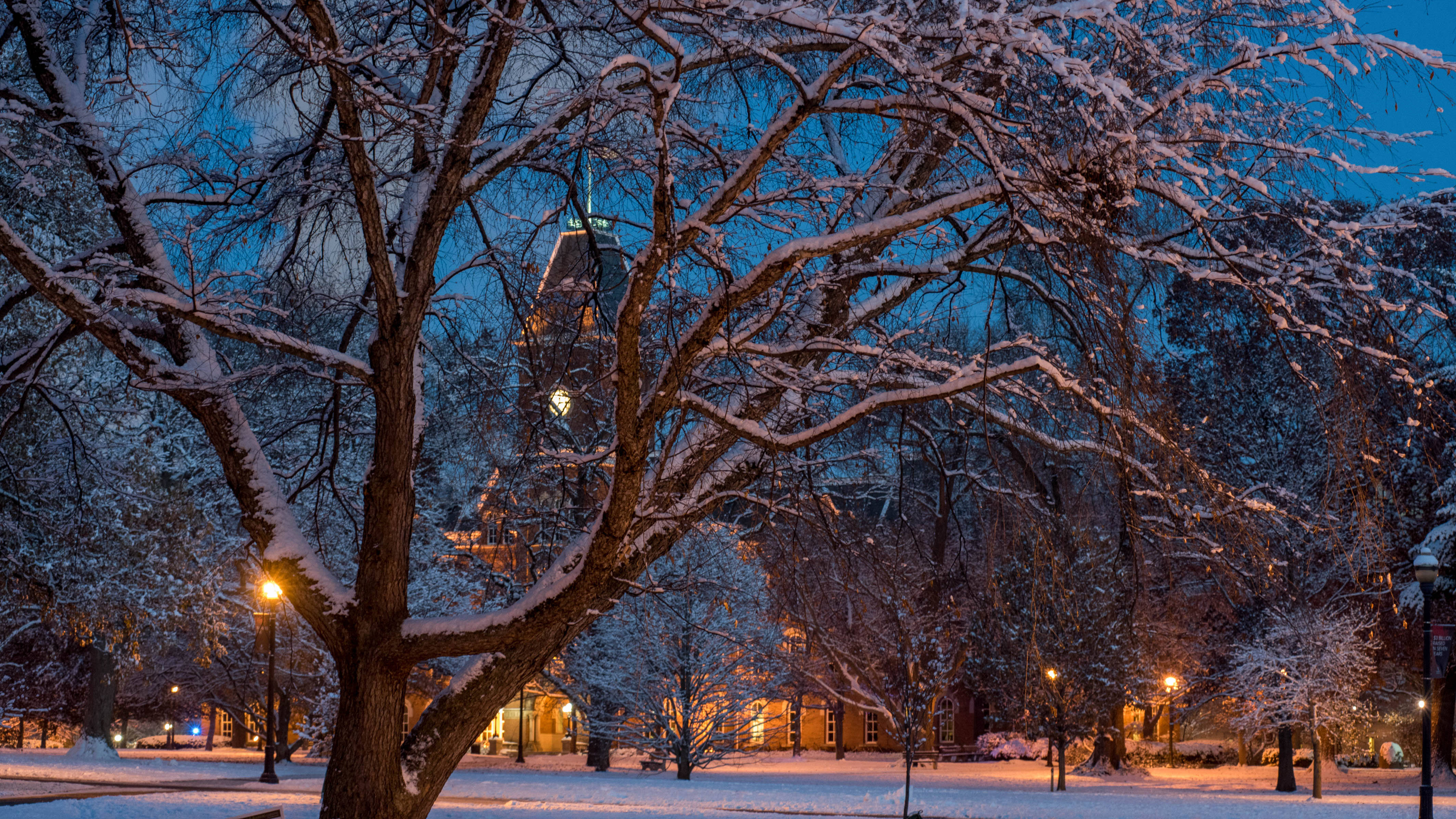 雪 桌布 壁紙 — 白雪覆蓋光禿的樹木和寧靜的校園，在黃昏時分，溫暖的燈光在深藍色的天空下閃耀。