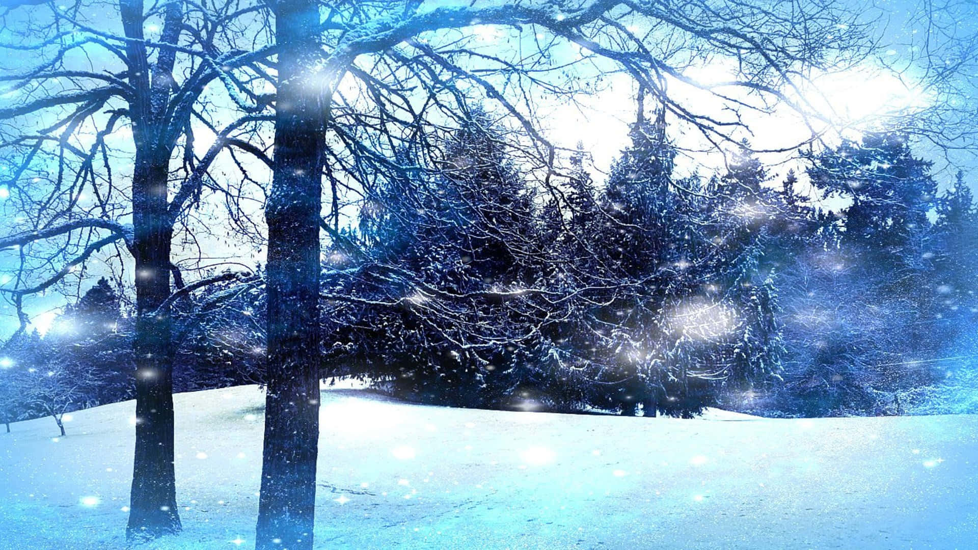 冬季美學 桌布 壁紙 — 白雪覆蓋光禿的樹木和常青樹，在明亮的藍色冬日天空下，帶有閃爍的光效。