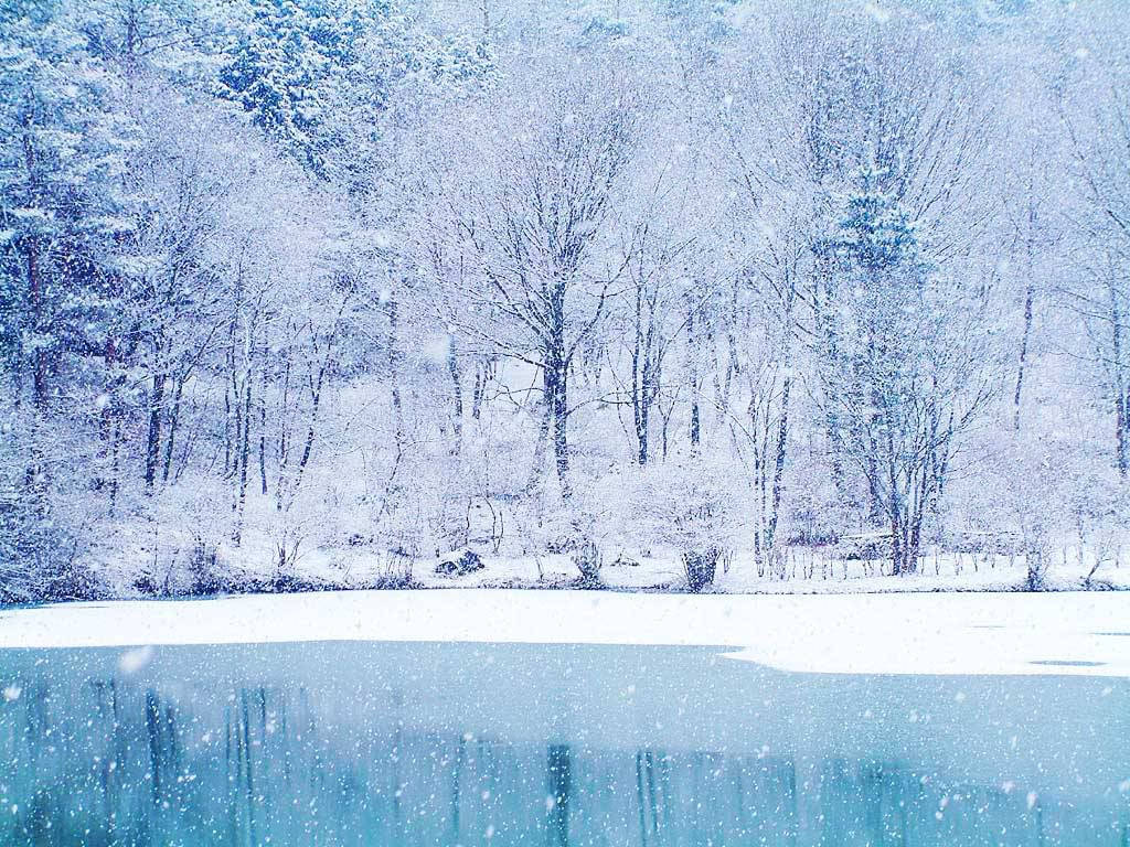 Snow Desktop 桌布 壁紙 — 白雪覆蓋光禿的樹木和結冰的湖泊，在柔和的藍色冬日天空下飄落著雪花。